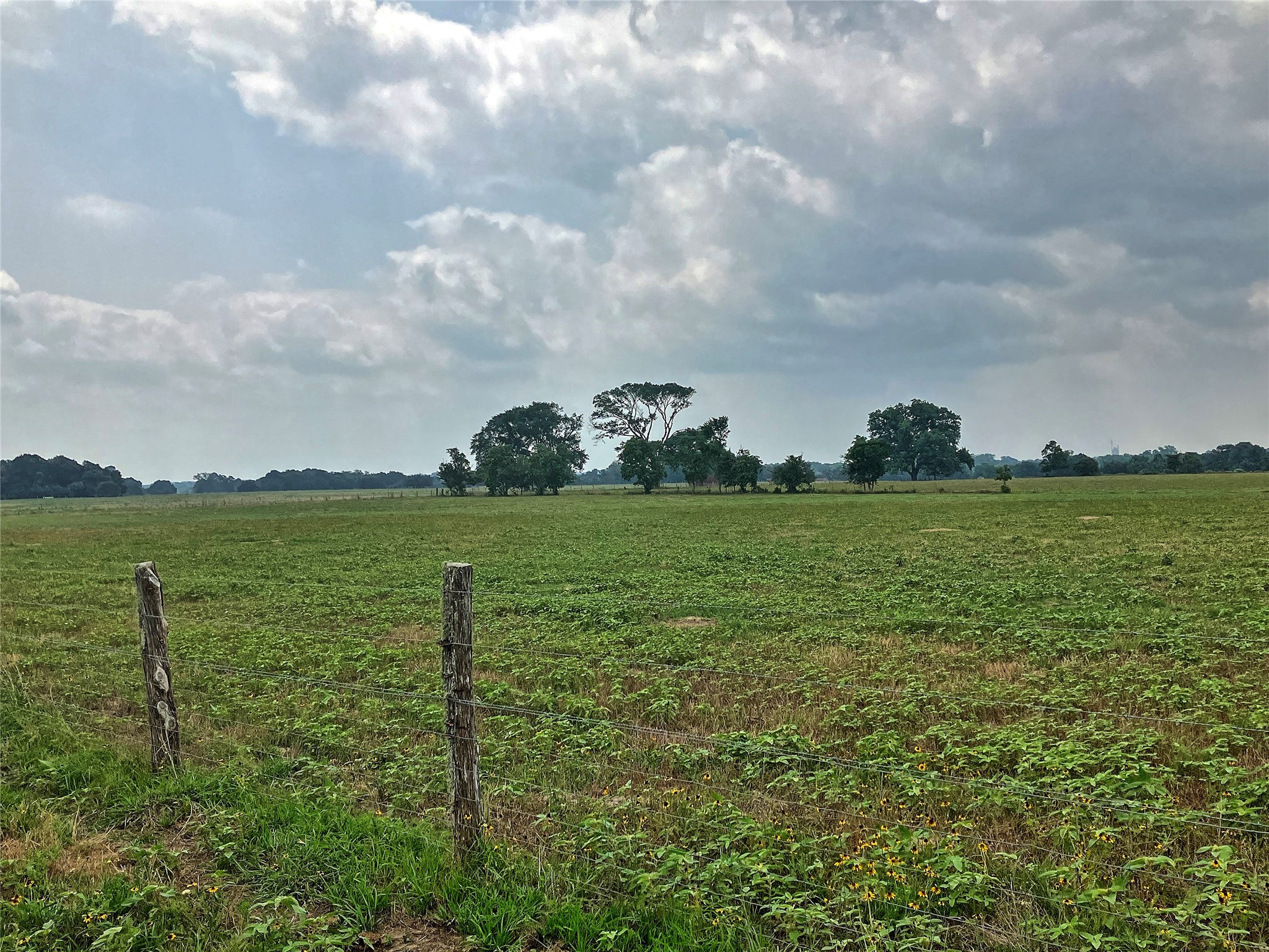 Tbd Neiser Lane Weimar, TX 78962 - Photo 2 of 5 a view of a lake with a big yard