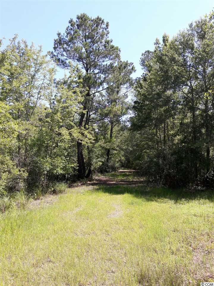 151-acres 151-acres Depot Road Conway, SC 29526 - Photo 1 of 23 Gallery Image 1