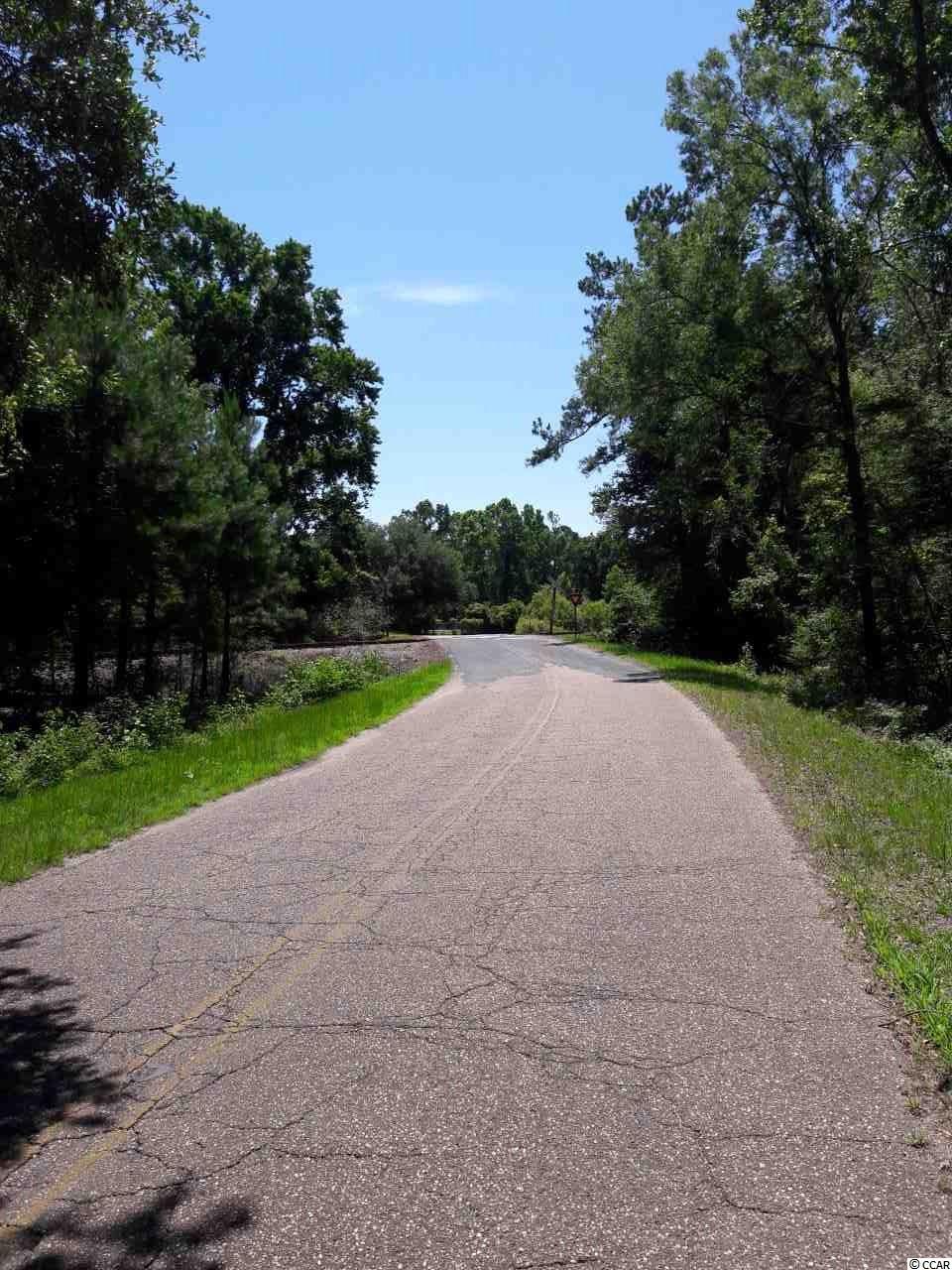 151-acres 151-acres Depot Road Conway, SC 29526 - Photo 2 of 23 Gallery Image 2