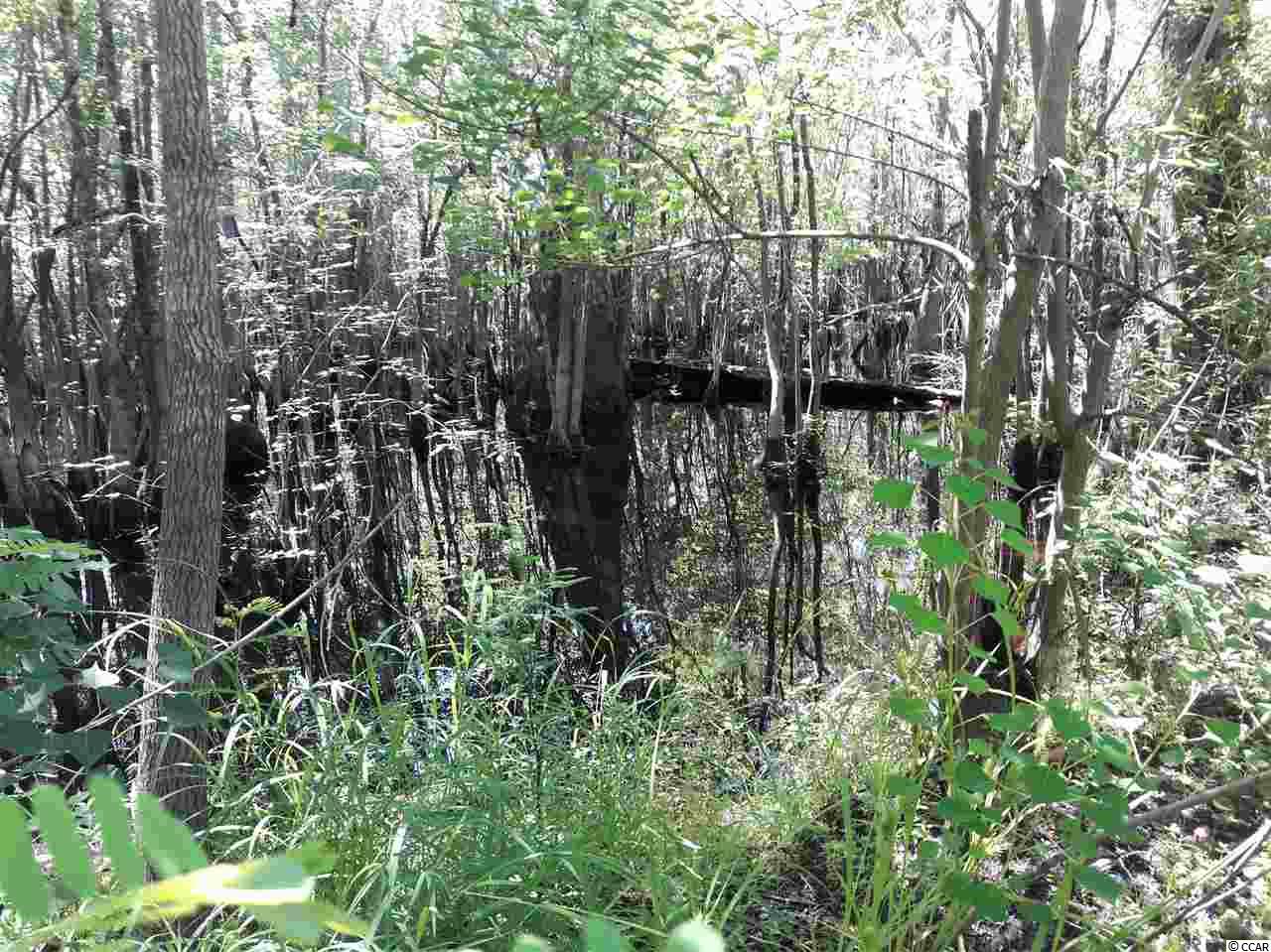 151-acres 151-acres Depot Road Conway, SC 29526 - Photo 11 of 23 Gallery Image 11