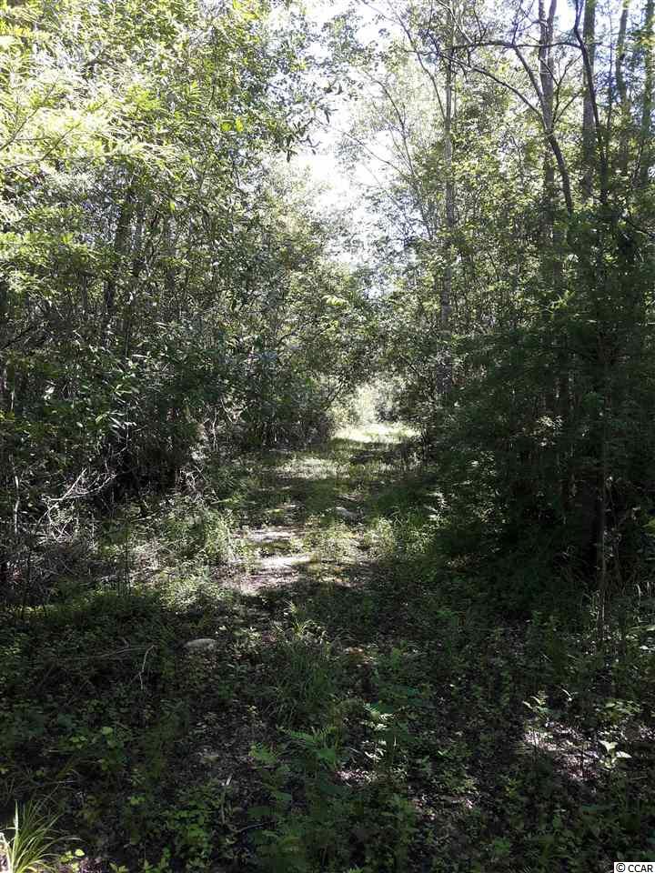 151-acres 151-acres Depot Road Conway, SC 29526 - Photo 12 of 23 Gallery Image 12