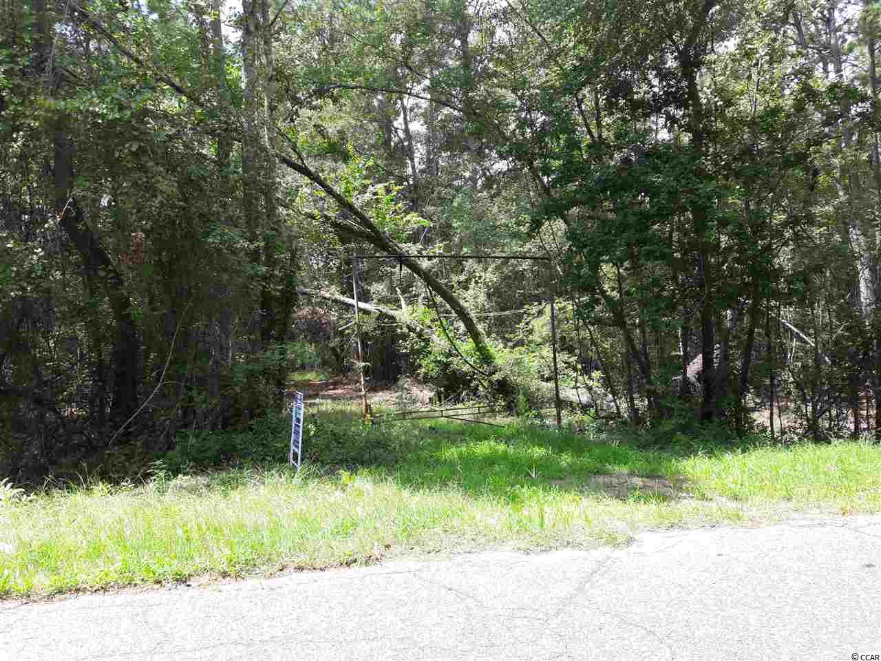 151-acres 151-acres Depot Road Conway, SC 29526 - Photo 20 of 23 Gallery Image 20