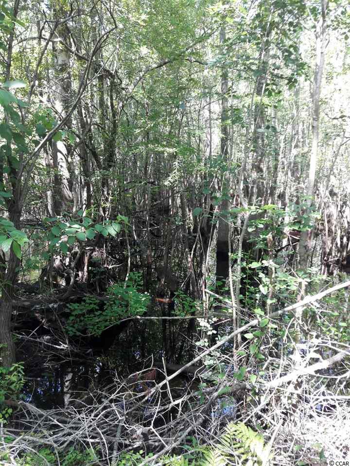 151-acres 151-acres Depot Road Conway, SC 29526 - Photo 3 of 23 Gallery Image 3