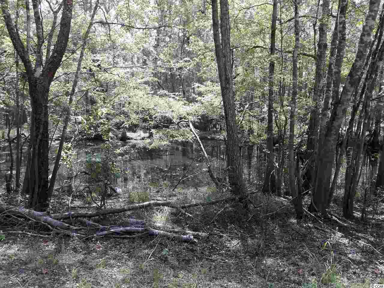 151-acres 151-acres Depot Road Conway, SC 29526 - Photo 21 of 23 Gallery Image 21
