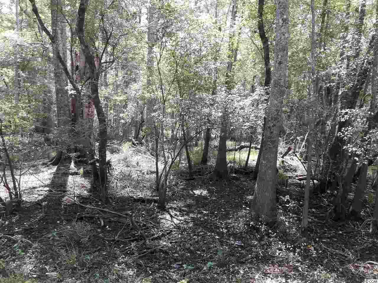 151-acres 151-acres Depot Road Conway, SC 29526 - Photo 22 of 23 Gallery Image 22