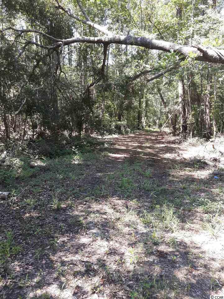 151-acres 151-acres Depot Road Conway, SC 29526 - Photo 10 of 23 Gallery Image 10