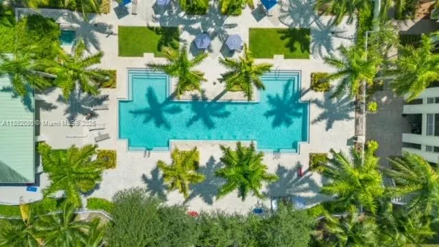 a view of a flower in a garden