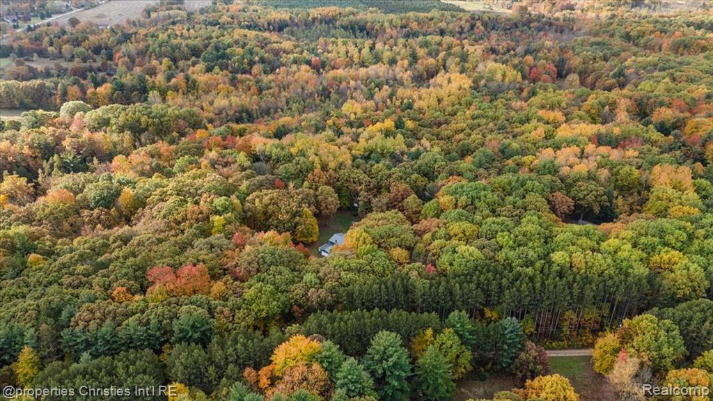 4121 Country Road Otter Lake, MI 48464 - Photo 26 of 79 Gallery Image 26