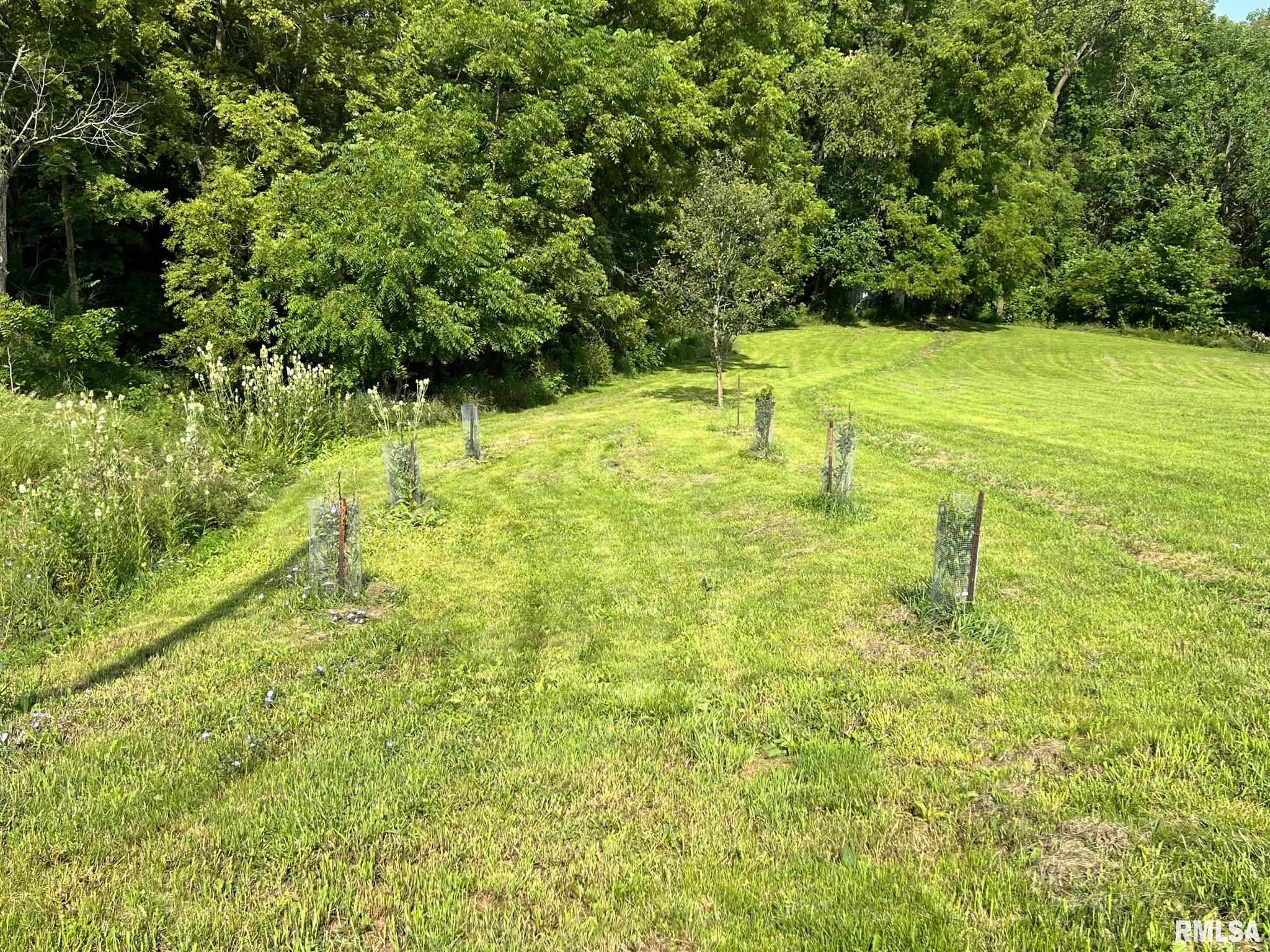 2012 County Road 600 North Secor, IL 61771 - Photo 13 of 39