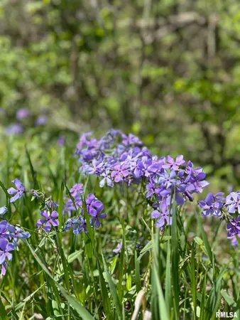 $74,900 | 2012 County Road 600 North, Secor, IL 61771