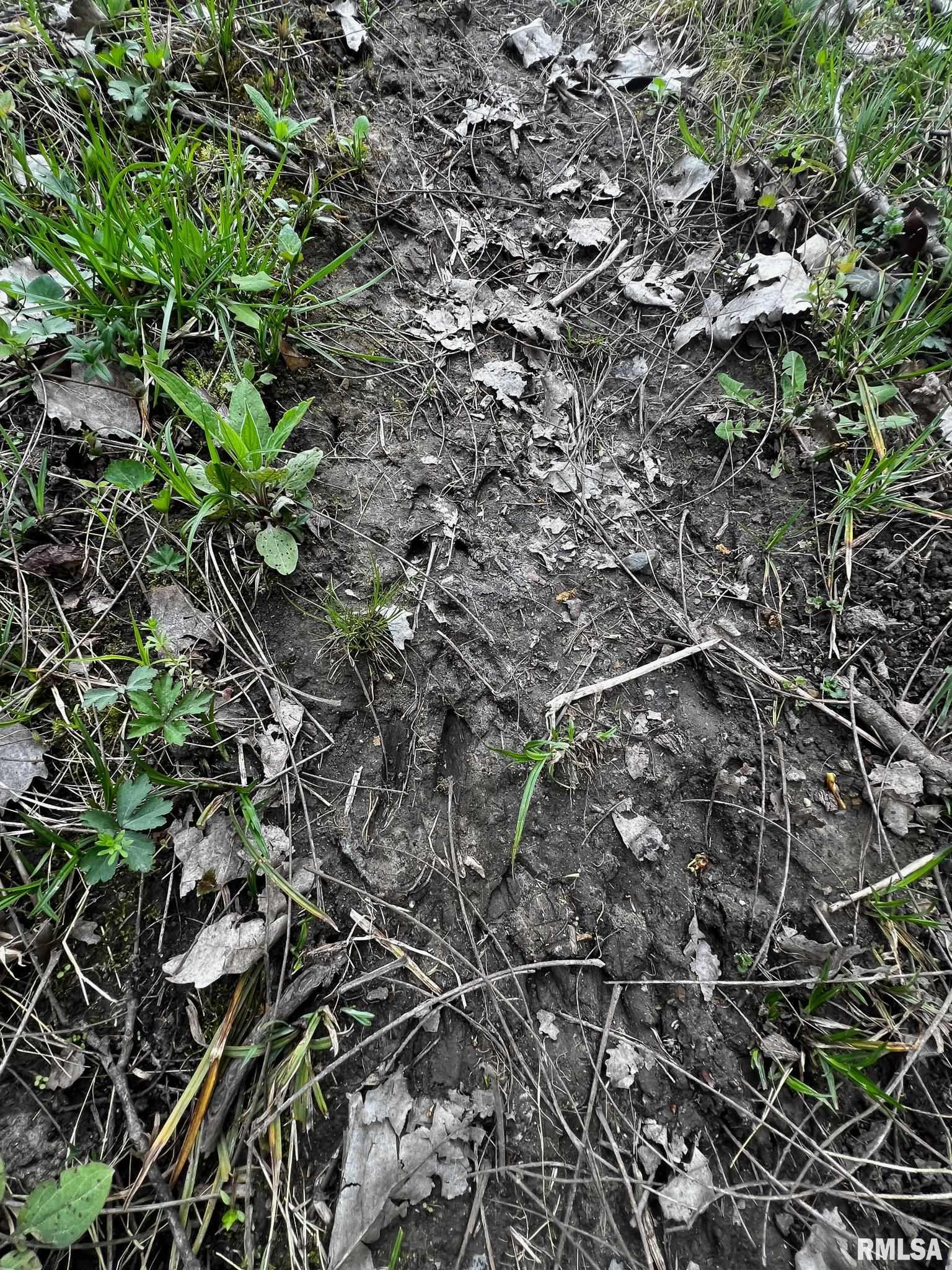 2012 County Road 600 North Secor, IL 61771 - Photo 34 of 39
