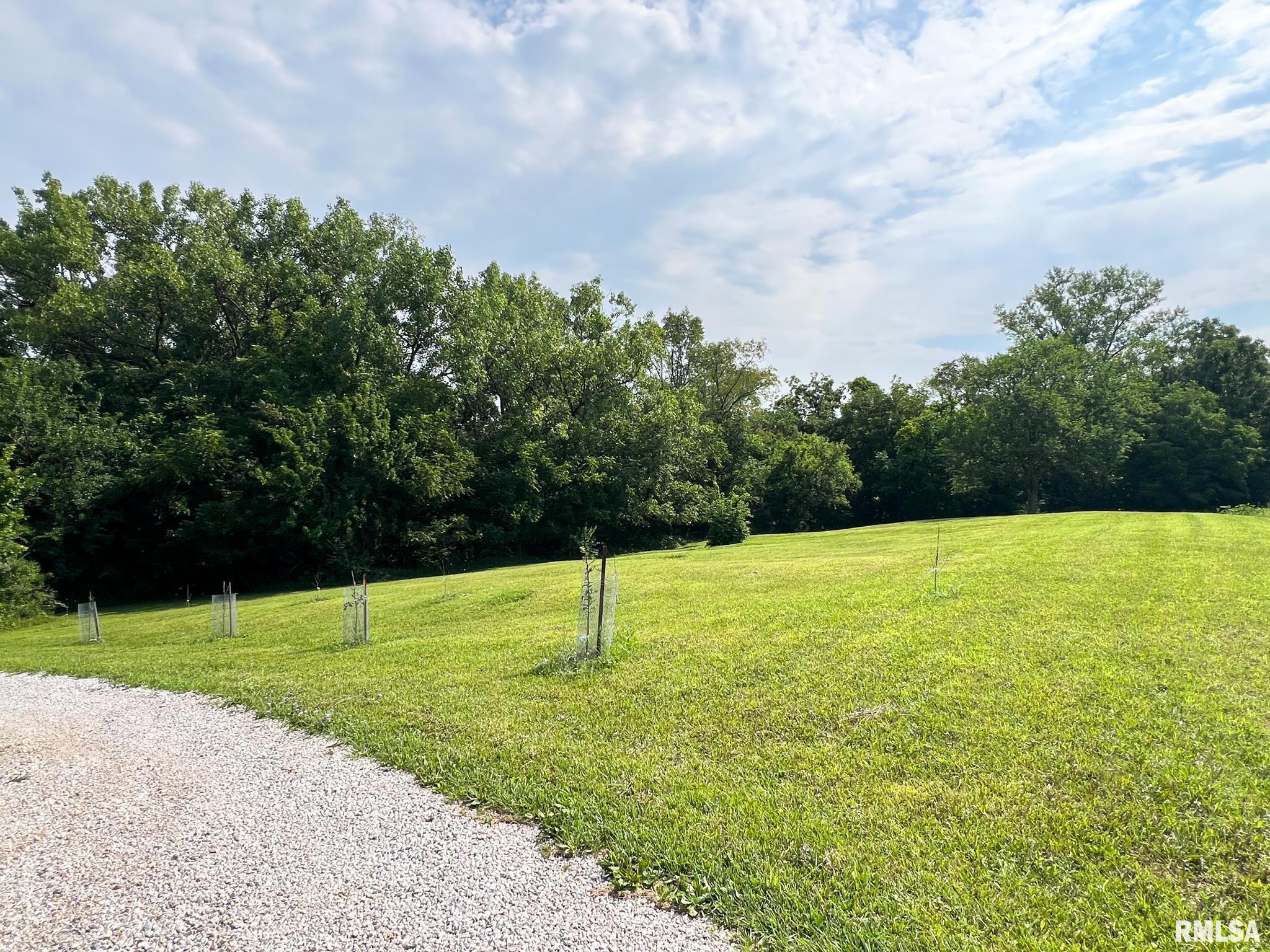 2012 County Road 600 North Secor, IL 61771 - Photo 7 of 39