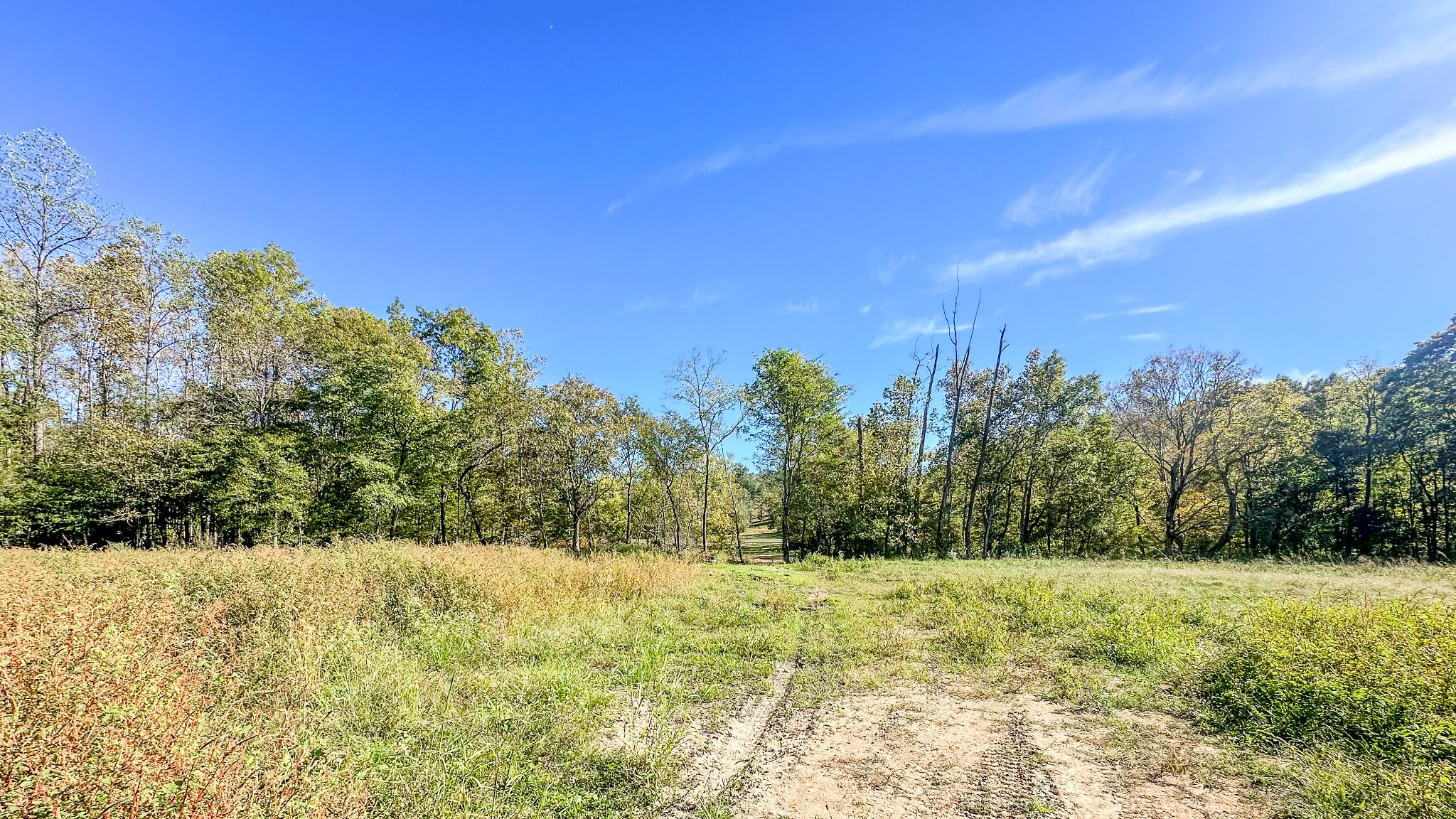 0 Forrester Road McEwen, TN 37101 - Photo 12 of 46 Gallery Image 12