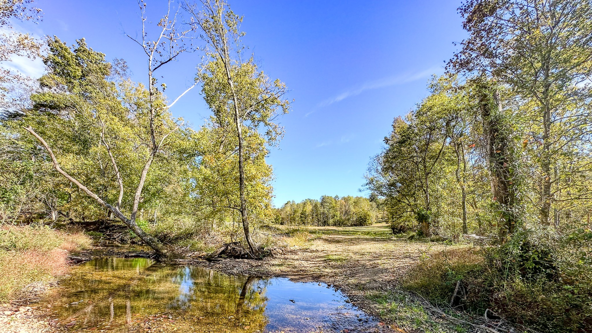 0 Forrester Road McEwen, TN 37101 - Photo 3 of 46 Gallery Image 3