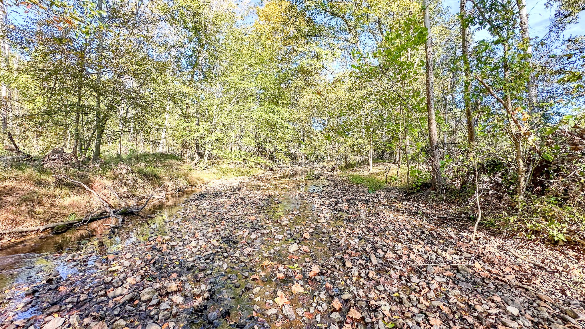 0 Forrester Road McEwen, TN 37101 - Photo 33 of 46 Gallery Image 33