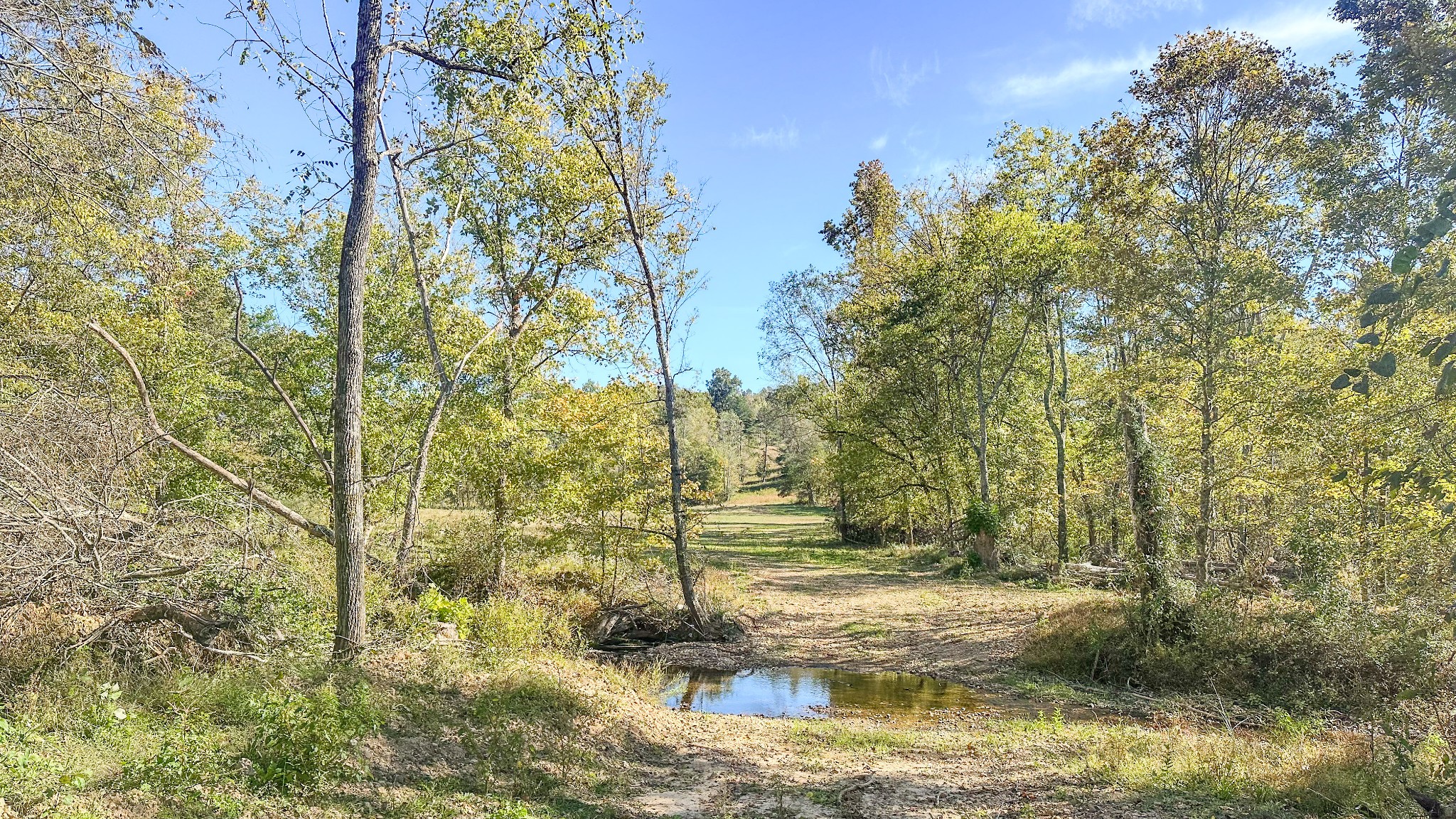 0 Forrester Road McEwen, TN 37101 - Photo 5 of 46 Gallery Image 5