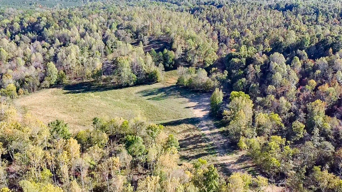 0 Forrester Road McEwen, TN 37101 - Photo 6 of 46 Gallery Image 6