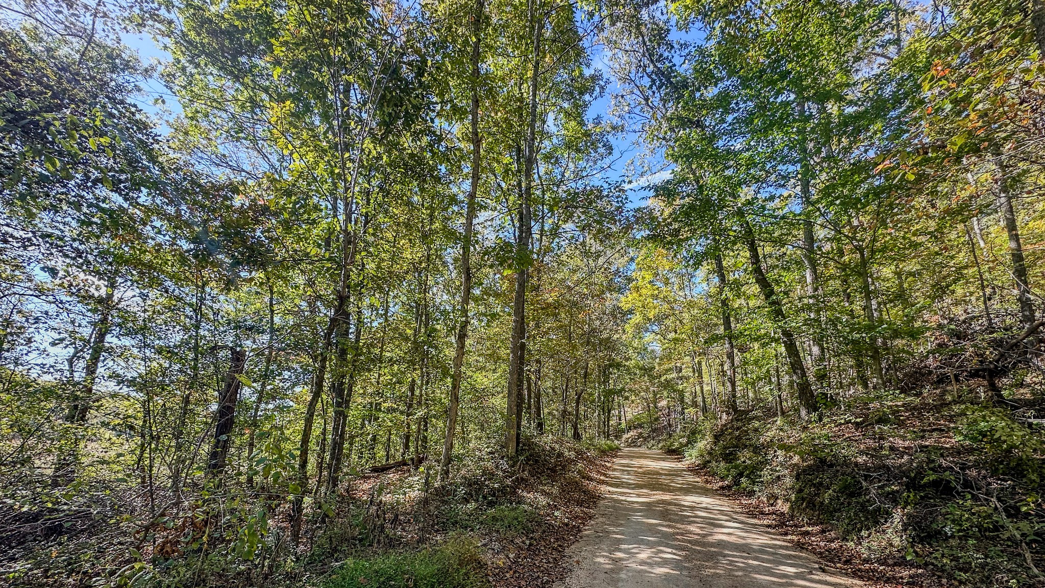 0 Forrester Road McEwen, TN 37101 - Photo 8 of 46 Gallery Image 8
