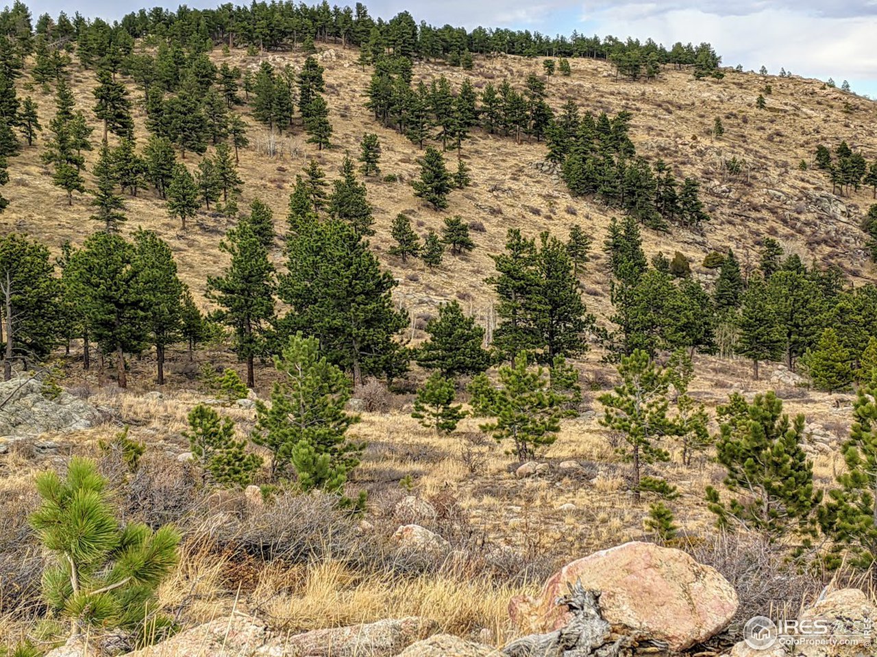 5280 Ridge Road Boulder, CO 80302 - Photo 17 of 19 a view of lake view