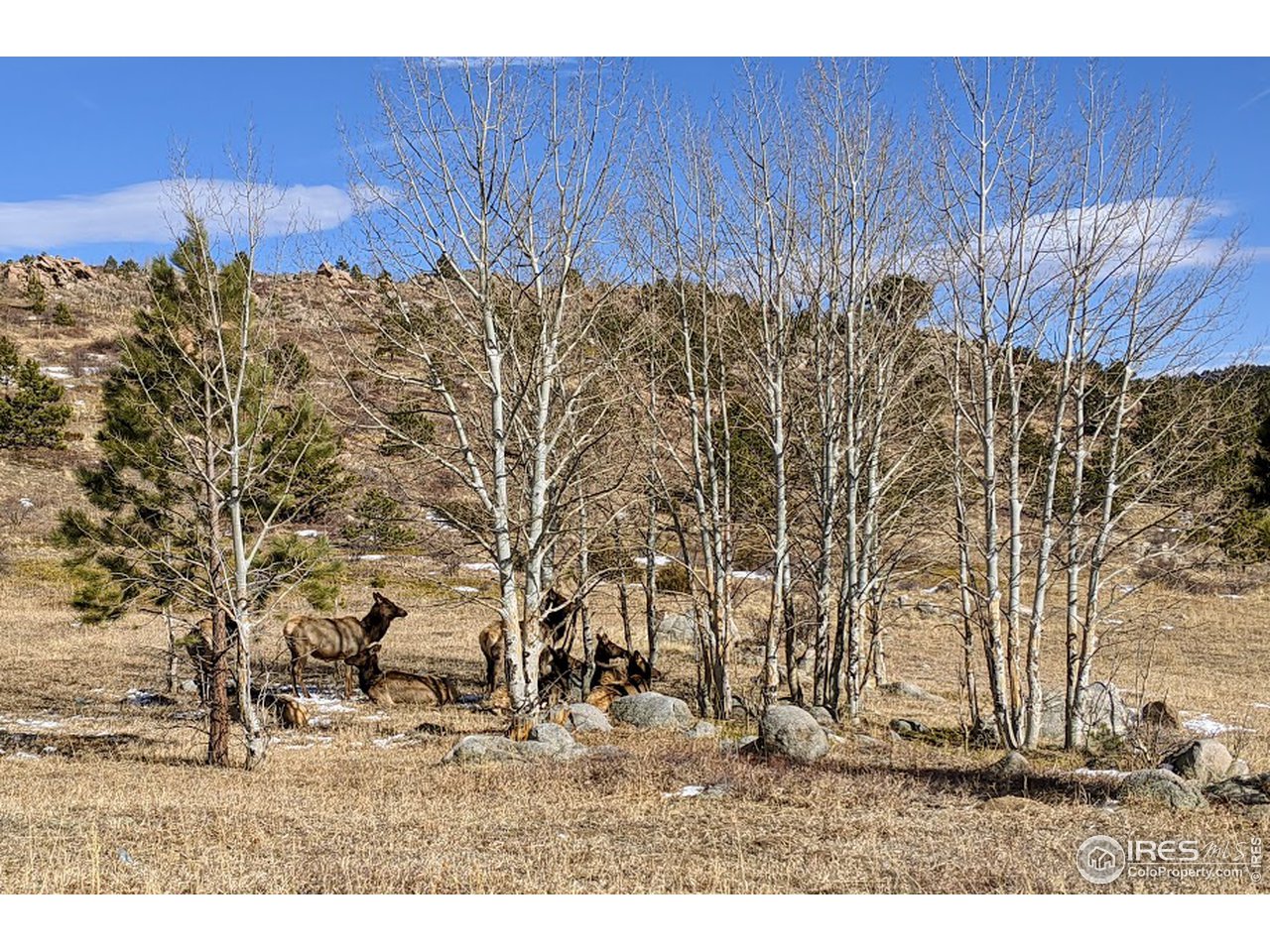 5280 Ridge Road Boulder, CO 80302 - Photo 2 of 19 a view of a backyard
