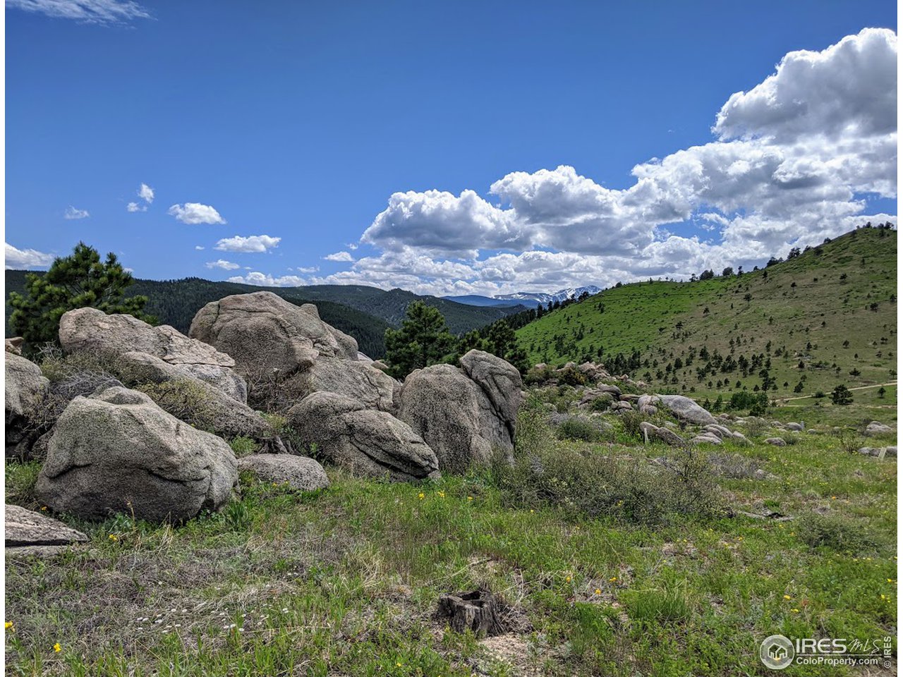 5280 Ridge Road Boulder, CO 80302 - Photo 7 of 19 a view of a bunch of trees in a field