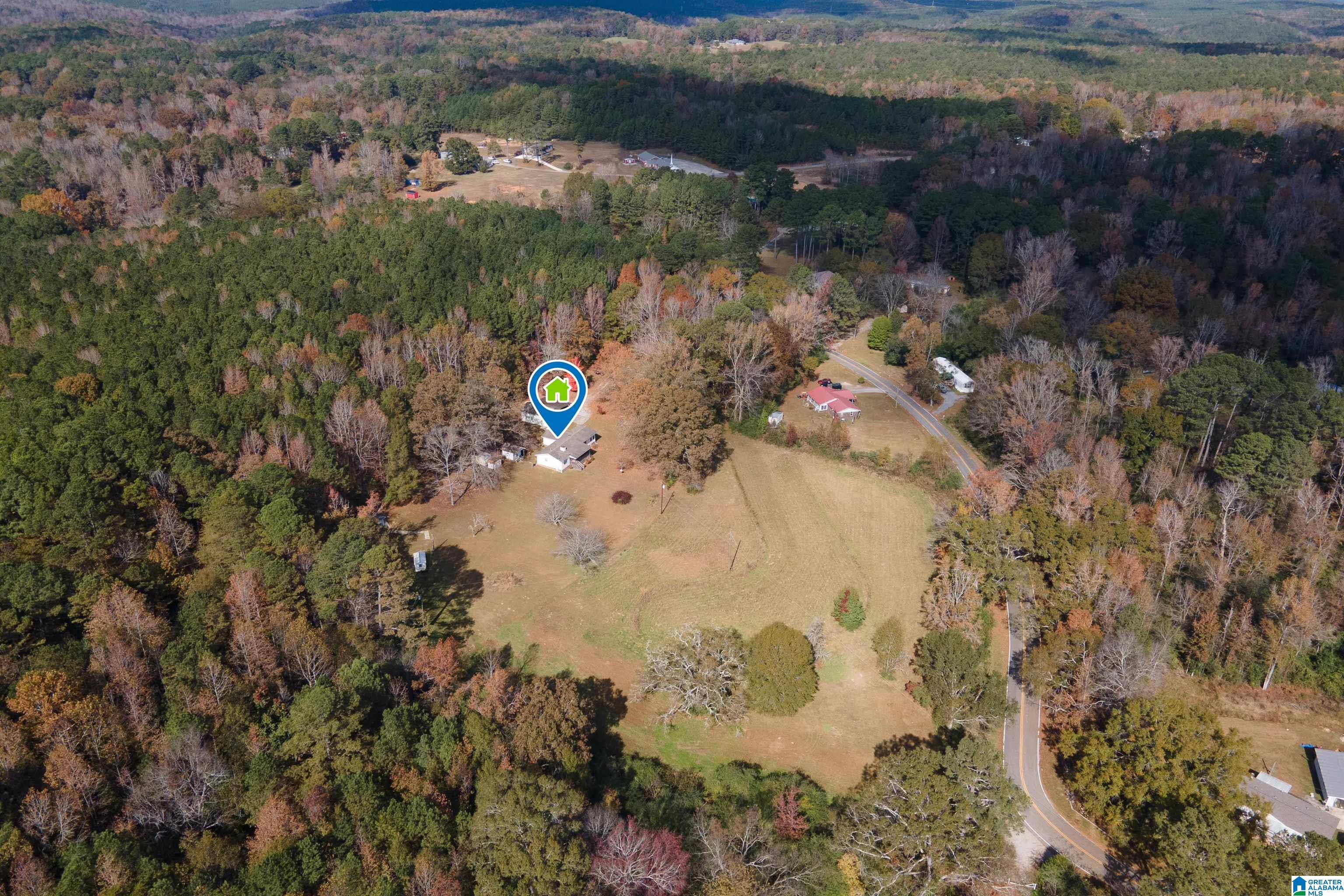 1864 Kelly Loop Road Mount Olive, AL 35117 - Photo 61 of 68