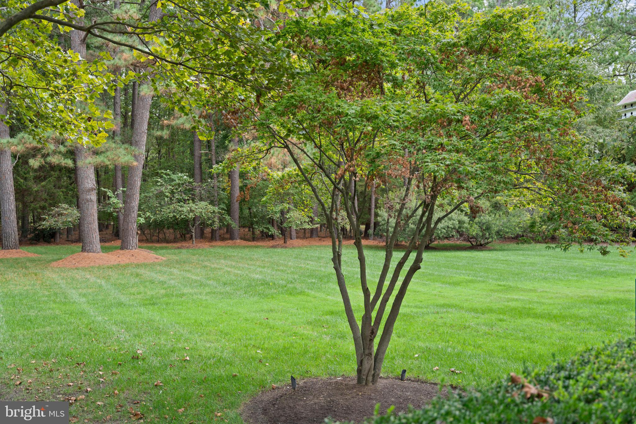 7536 Quaker Neck Road Bozman, MD 21612 - Photo 49 of 50 Grounds