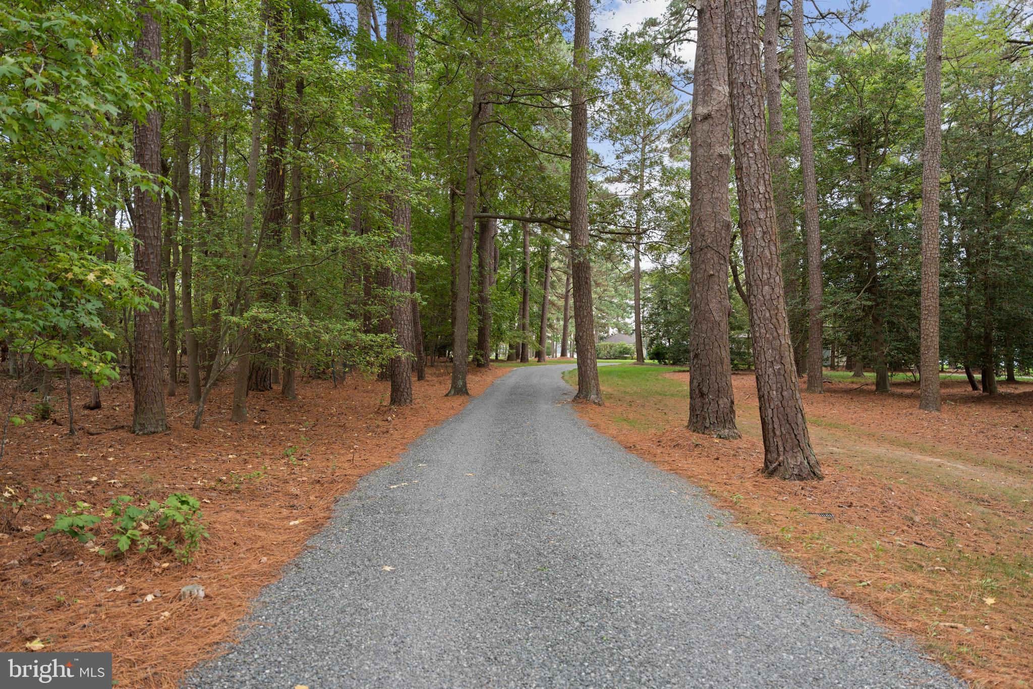 7536 Quaker Neck Road Bozman, MD 21612 - Photo 50 of 50 Private Driveway