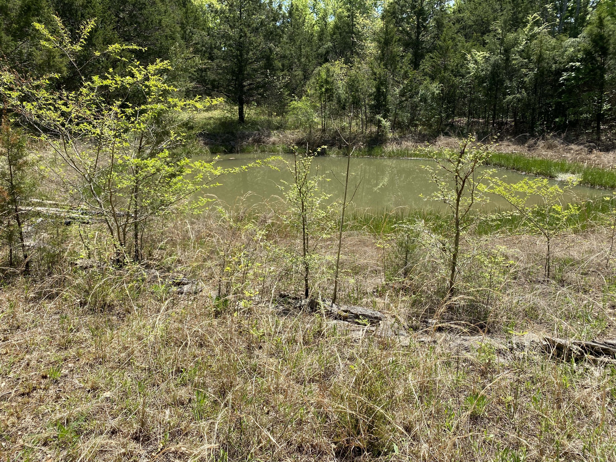 631 Baxter Road Murfreesboro, TN 37130 - Photo 18 of 36 Gallery Image 18