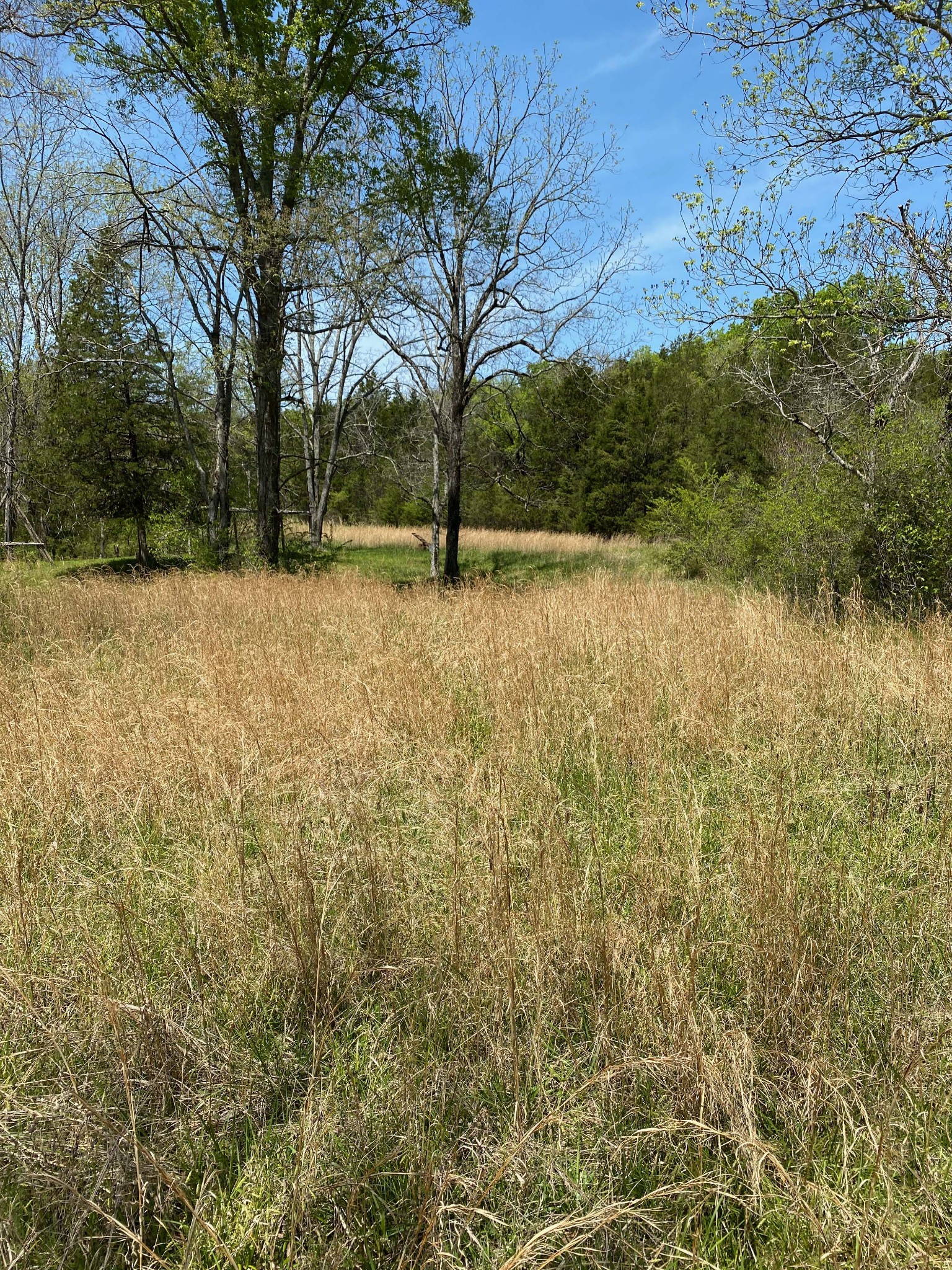 631 Baxter Road Murfreesboro, TN 37130 - Photo 19 of 36 Gallery Image 19