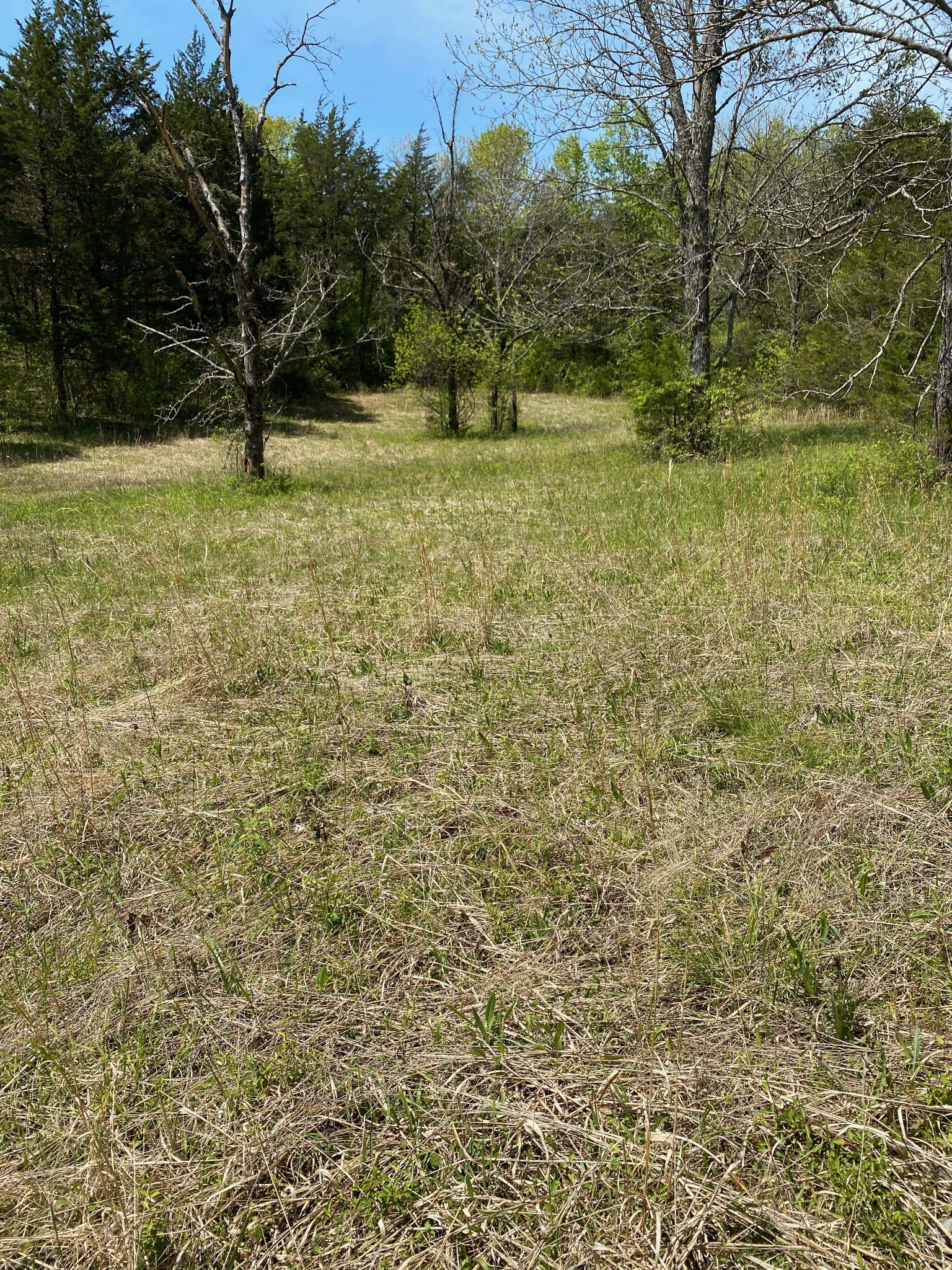 631 Baxter Road Murfreesboro, TN 37130 - Photo 22 of 36 Gallery Image 22
