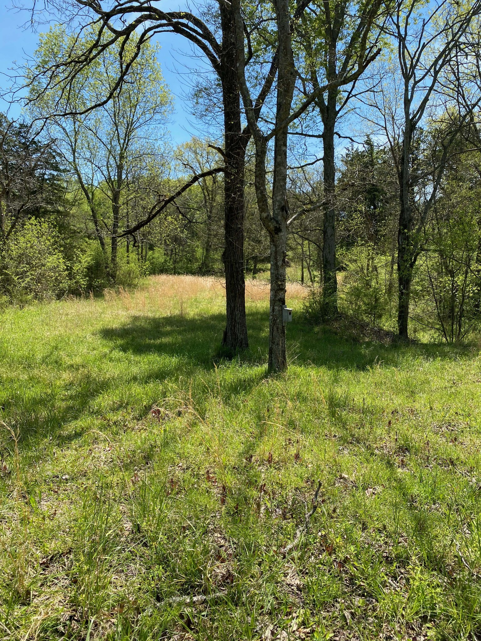 631 Baxter Road Murfreesboro, TN 37130 - Photo 23 of 36 Gallery Image 23