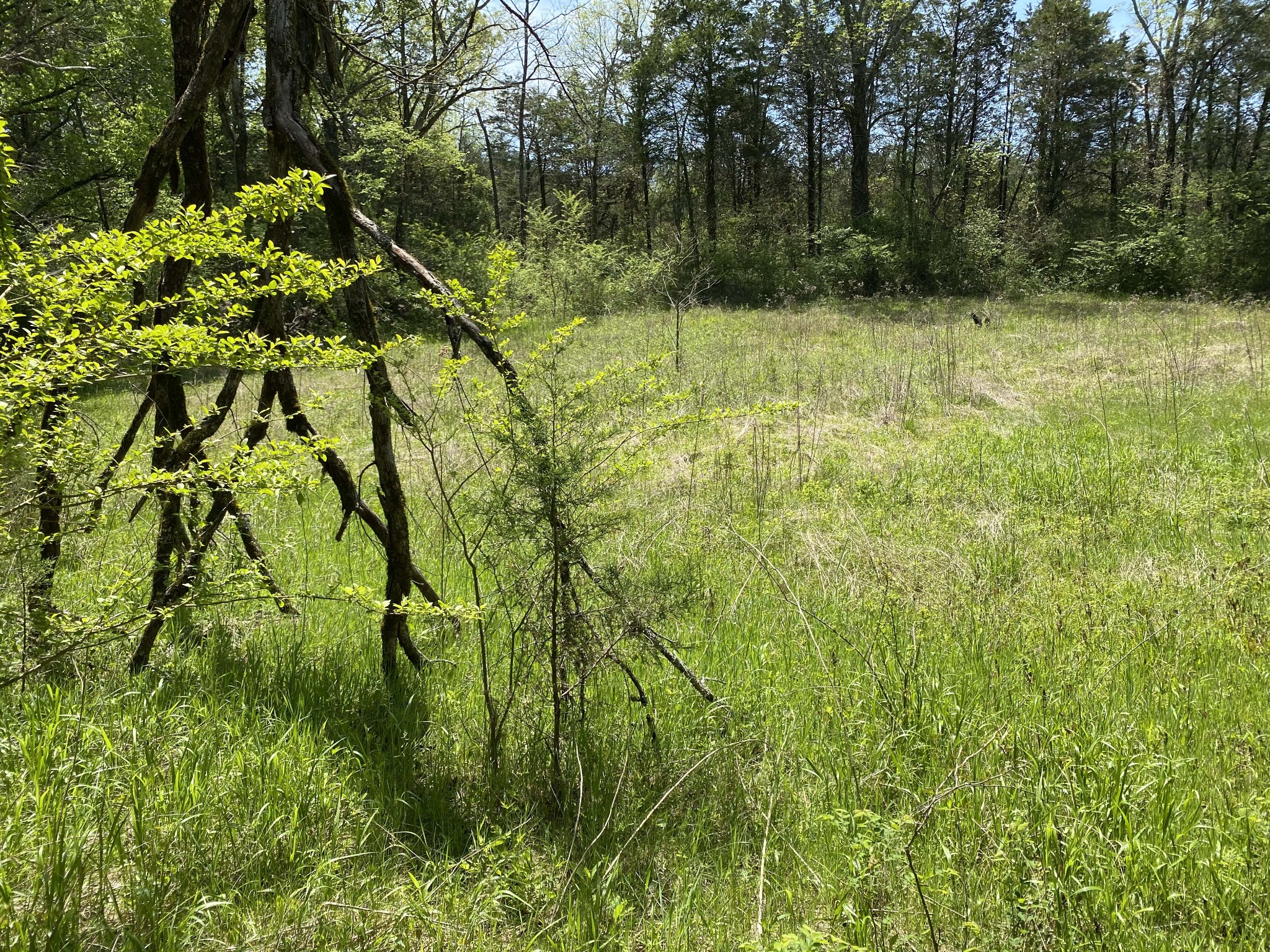 631 Baxter Road Murfreesboro, TN 37130 - Photo 24 of 36 Gallery Image 24