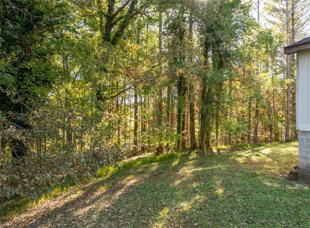 620 Wash Wilson Road Blue Ridge, GA 30513 - Photo 9 of 26 a view of yard with green space