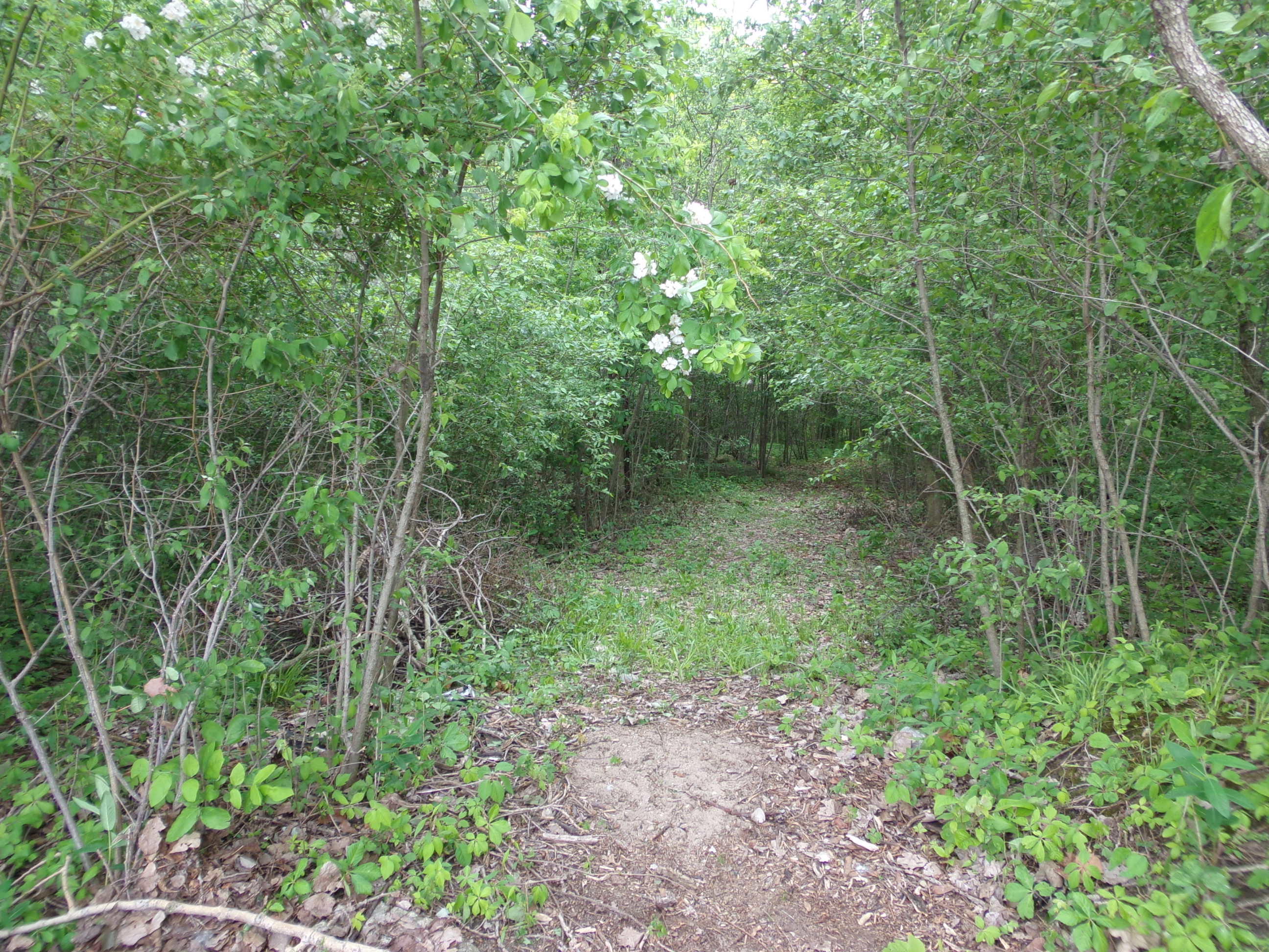 0 Cincy Road Celina, OH 45822 - Photo 10 of 11