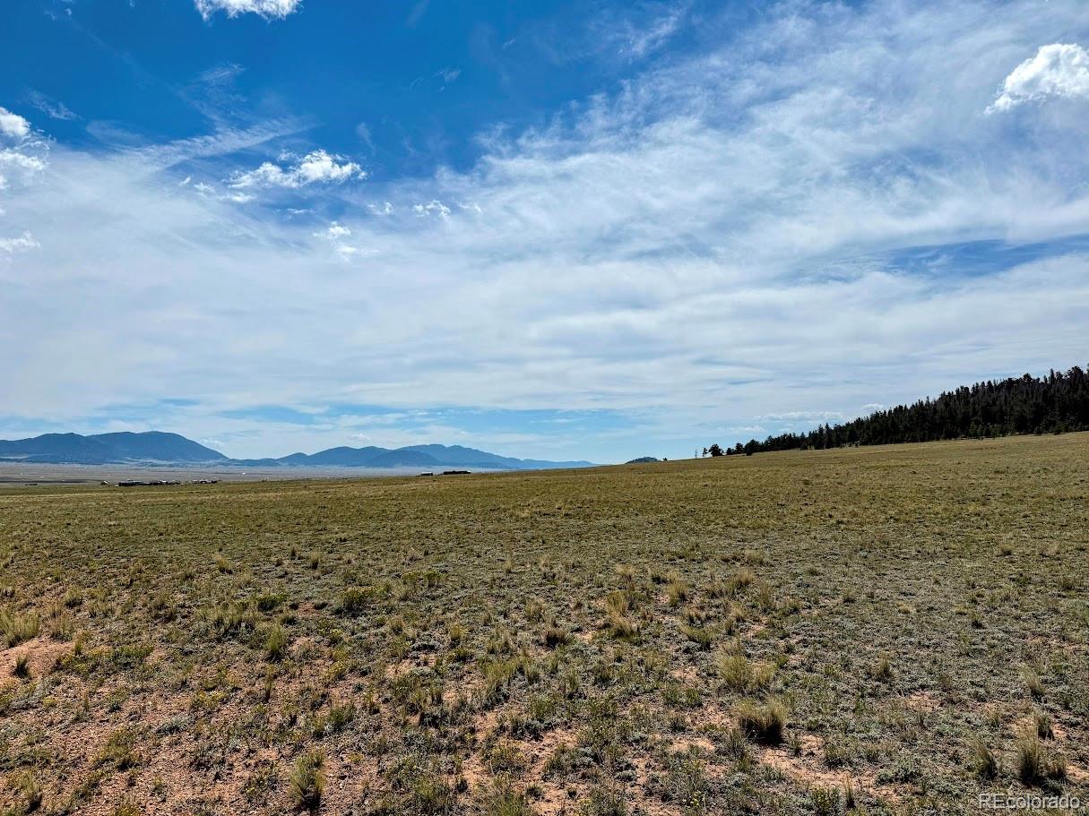 1876 Park Road Hartsel, CO 80449 - Photo 1 of 11 Gallery Image 1