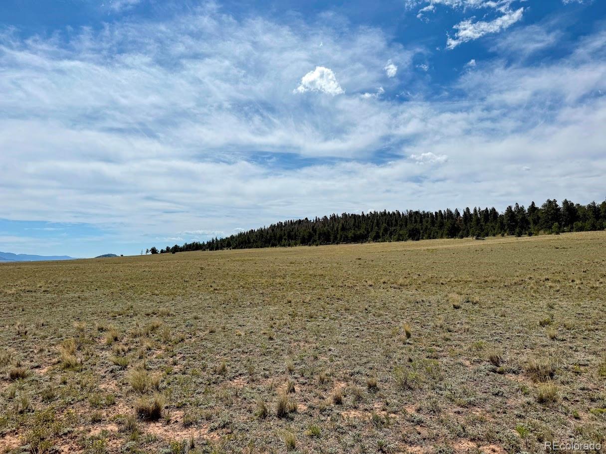 1876 Park Road Hartsel, CO 80449 - Photo 3 of 11 Gallery Image 3