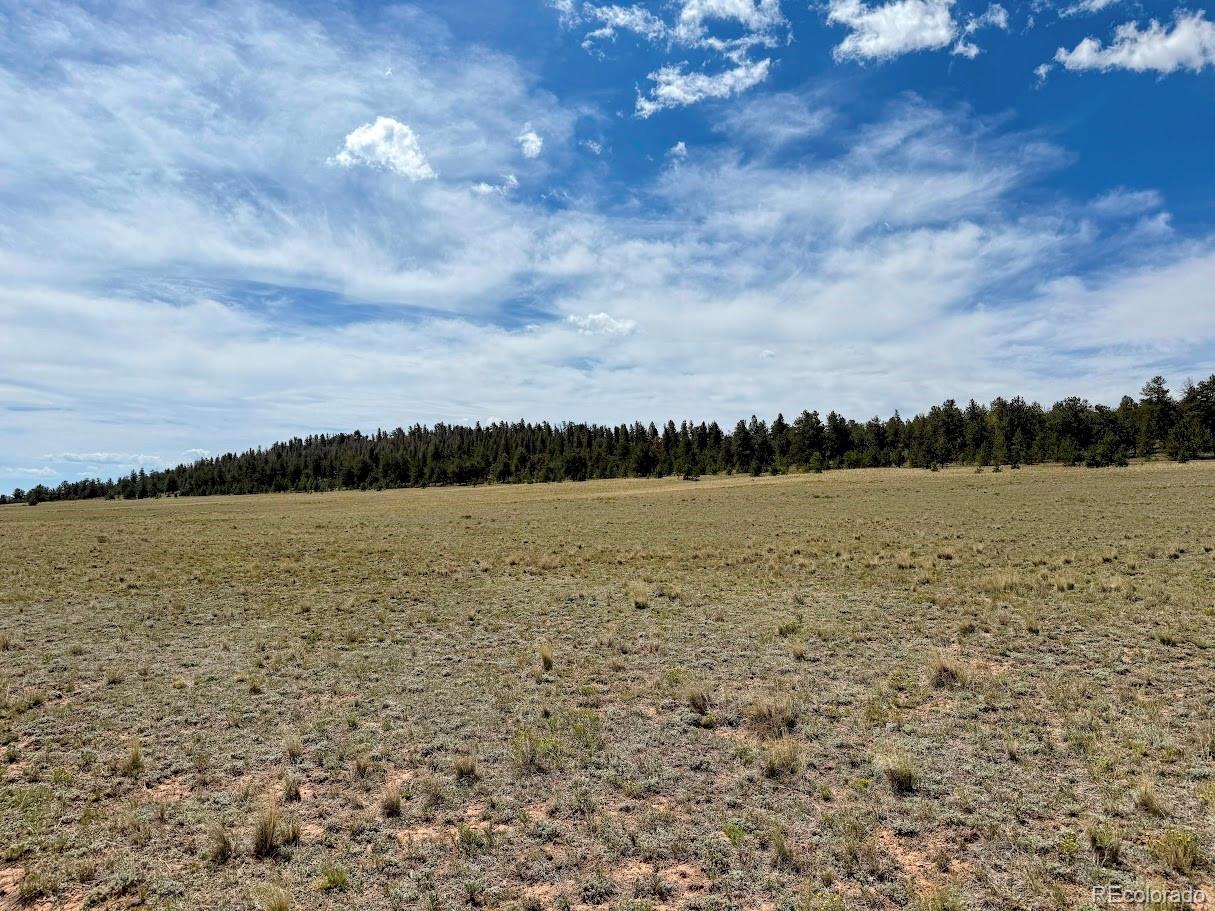 1876 Park Road Hartsel, CO 80449 - Photo 4 of 11 Gallery Image 4