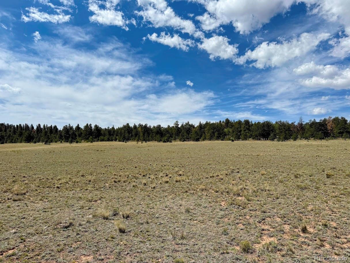 1876 Park Road Hartsel, CO 80449 - Photo 5 of 11 Gallery Image 5
