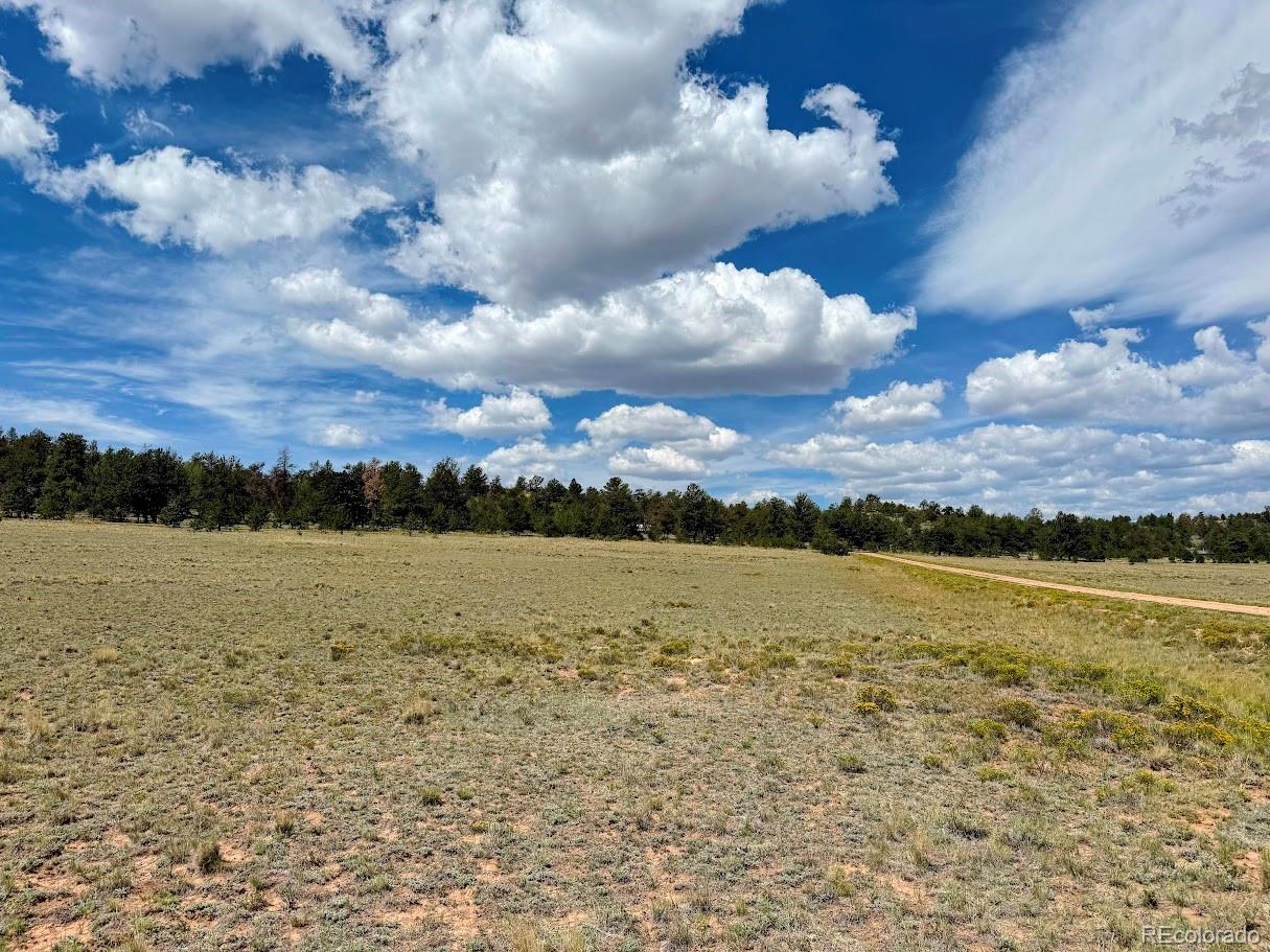 1876 Park Road Hartsel, CO 80449 - Photo 6 of 11 Gallery Image 6