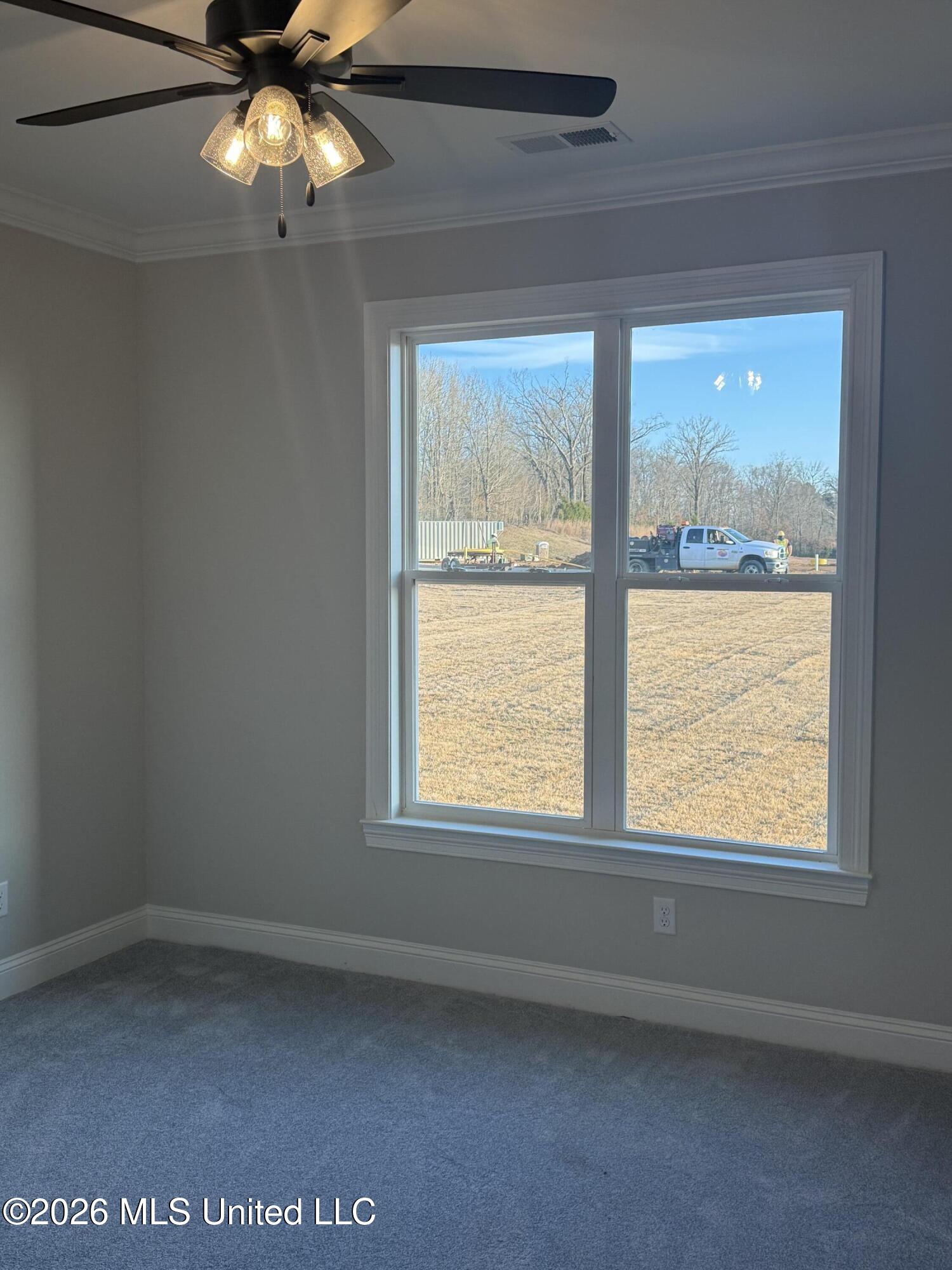 2275 Livingston Way Hernando, MS 38632 - Photo 36 of 48 IMG_3311