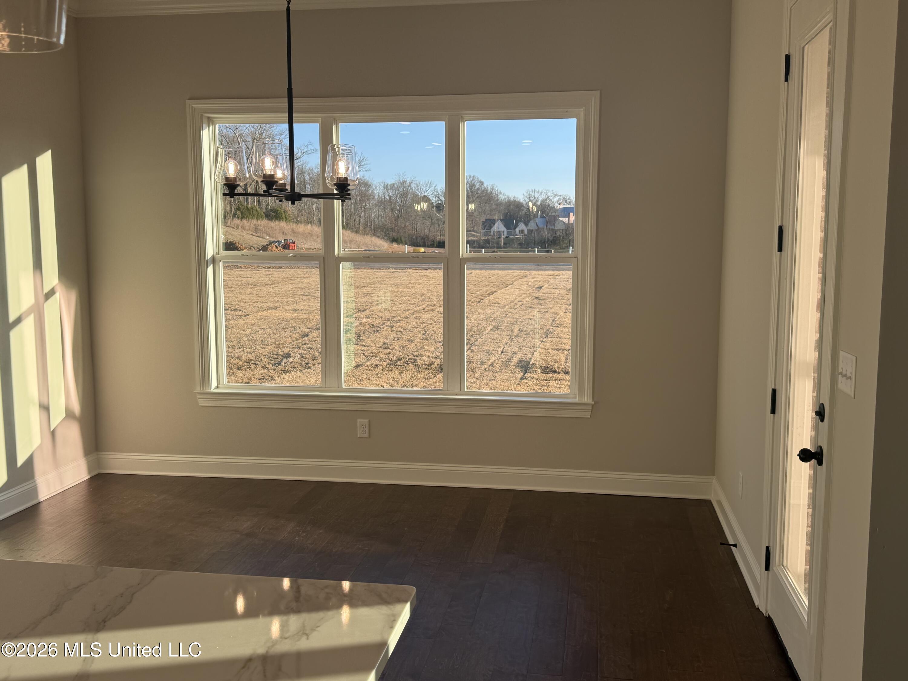 2275 Livingston Way Hernando, MS 38632 - Photo 10 of 48 IMG_3289