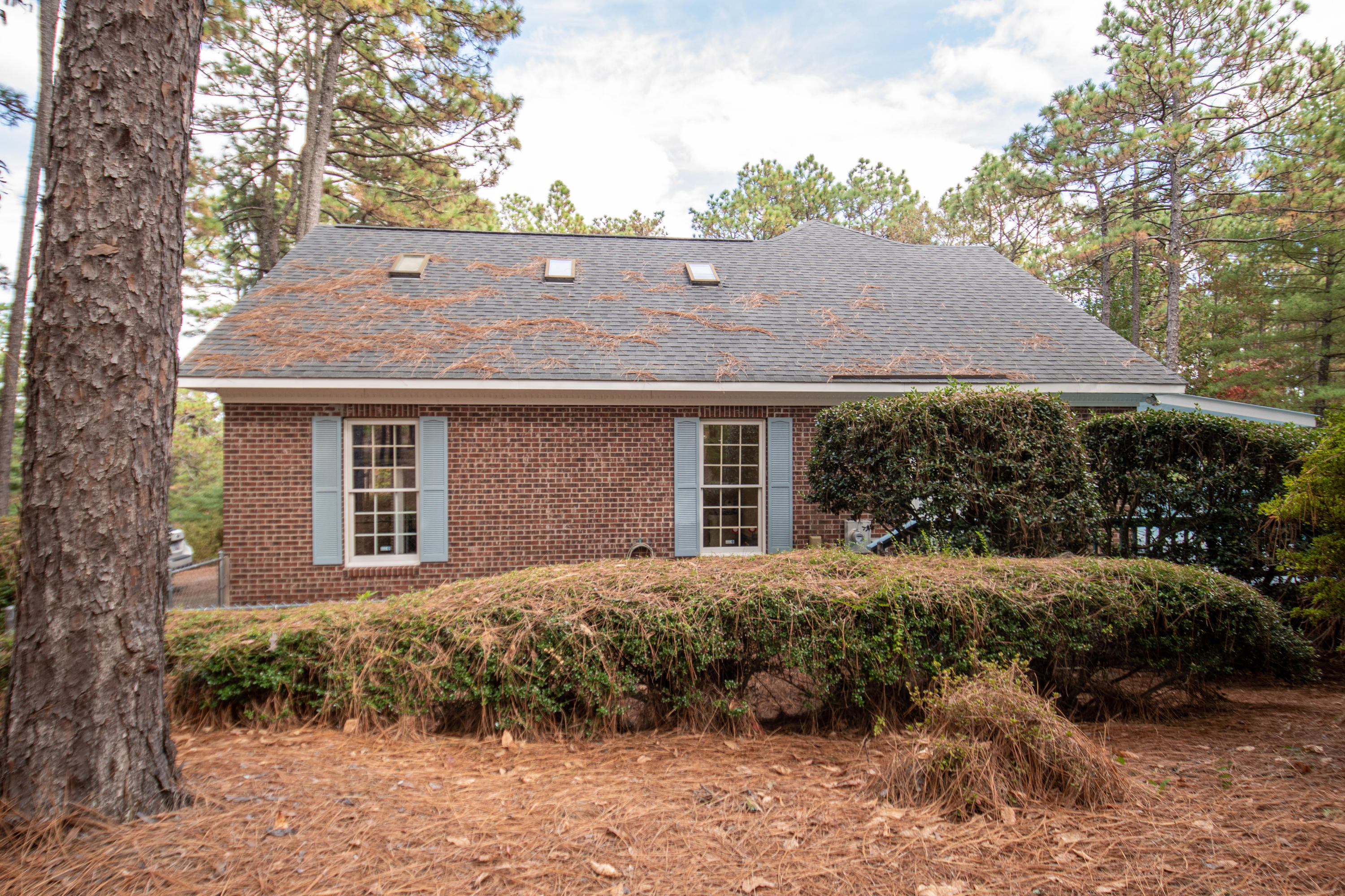 375 Arbutus Road Southern Pines, NC 28387 - Photo 5 of 39 Haney10-21-5
