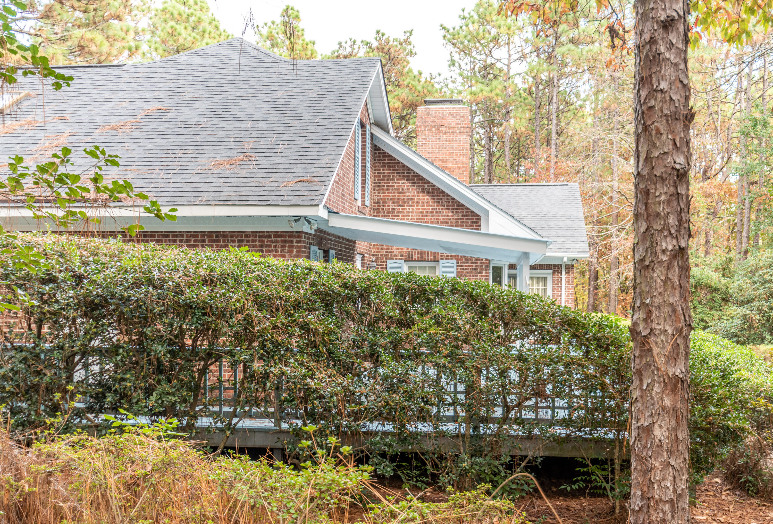 375 Arbutus Road Southern Pines, NC 28387 - Photo 6 of 39 Haney10-21-6