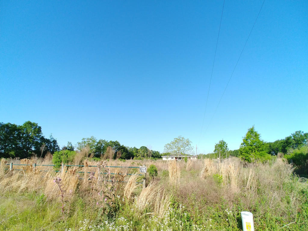 470 Meche Road Arnaudville, LA 70512 - Photo 19 of 21