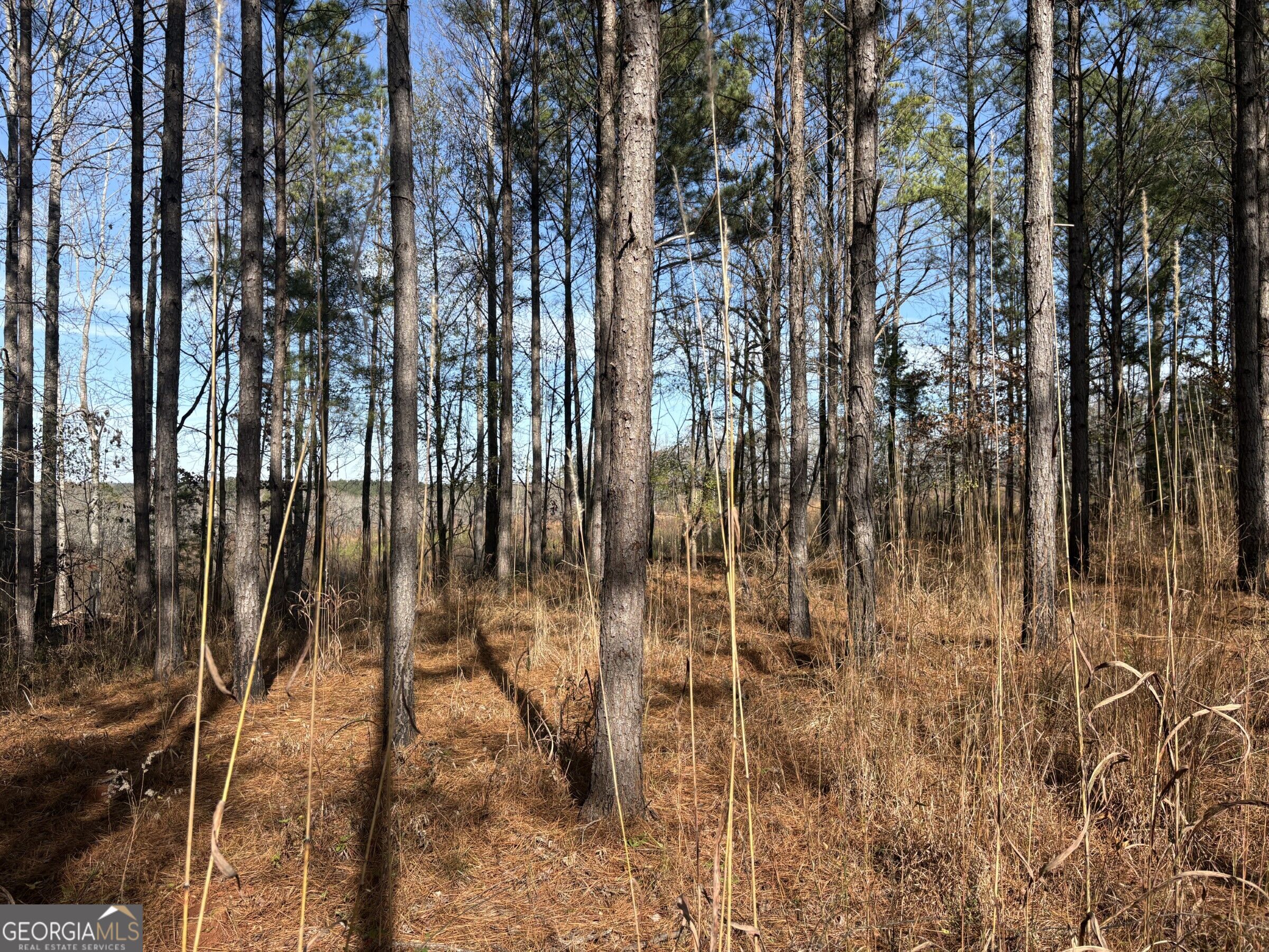 T2 Old Zebulon Road Forsyth, GA 31029 - Photo 25 of 36 Gallery Image 25