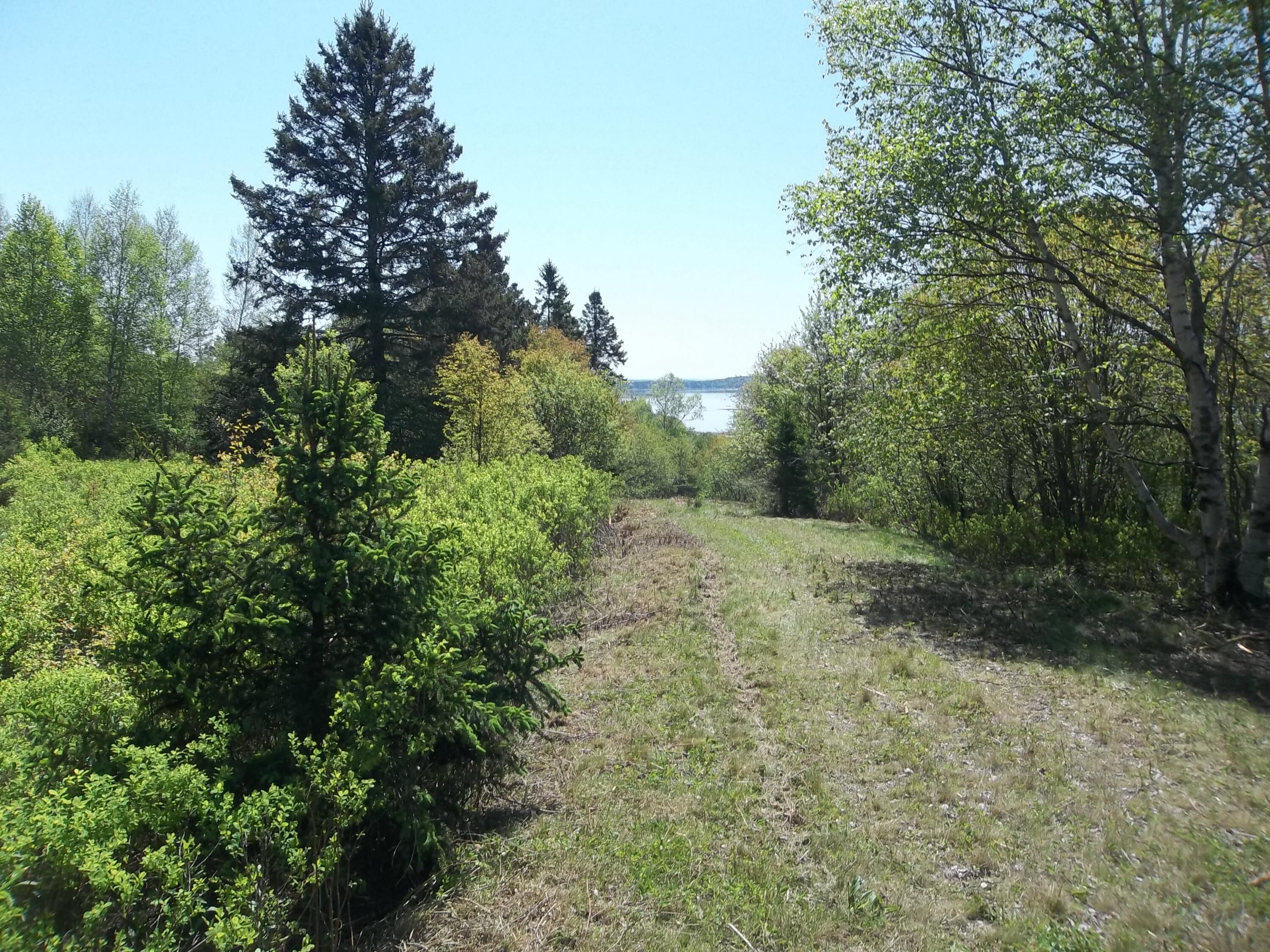 M2-l13-1 Lincoln Cove Road Perry, ME 04667 - Photo 4 of 5 100_2117