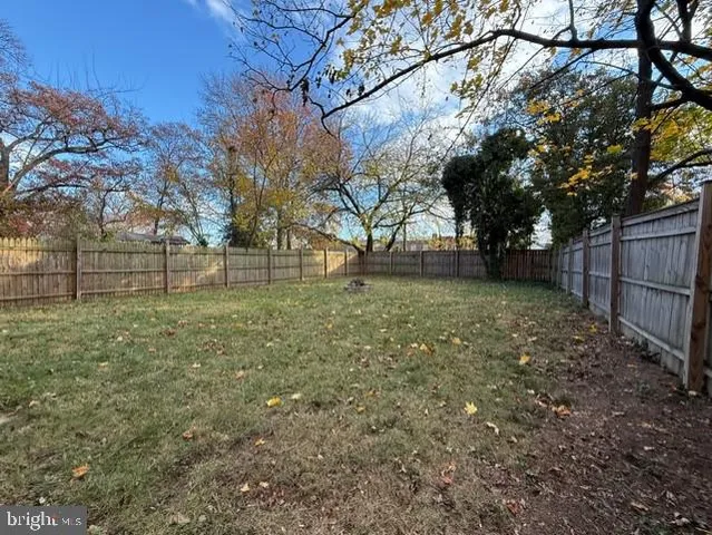 a view of a yard with a tree