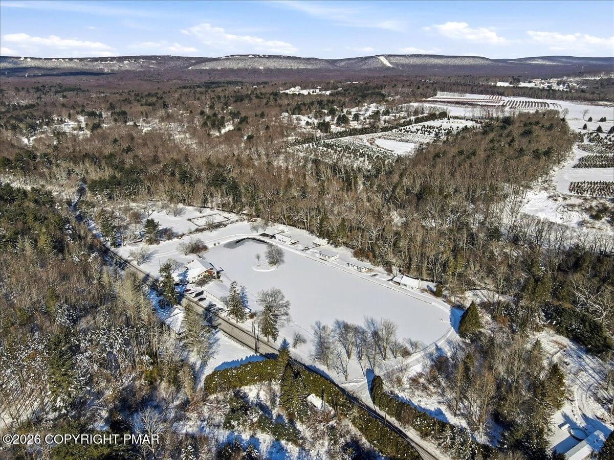 306 Merwinsburg Road Effort, PA 18330 - Photo 61 of 83 Harvest Moon