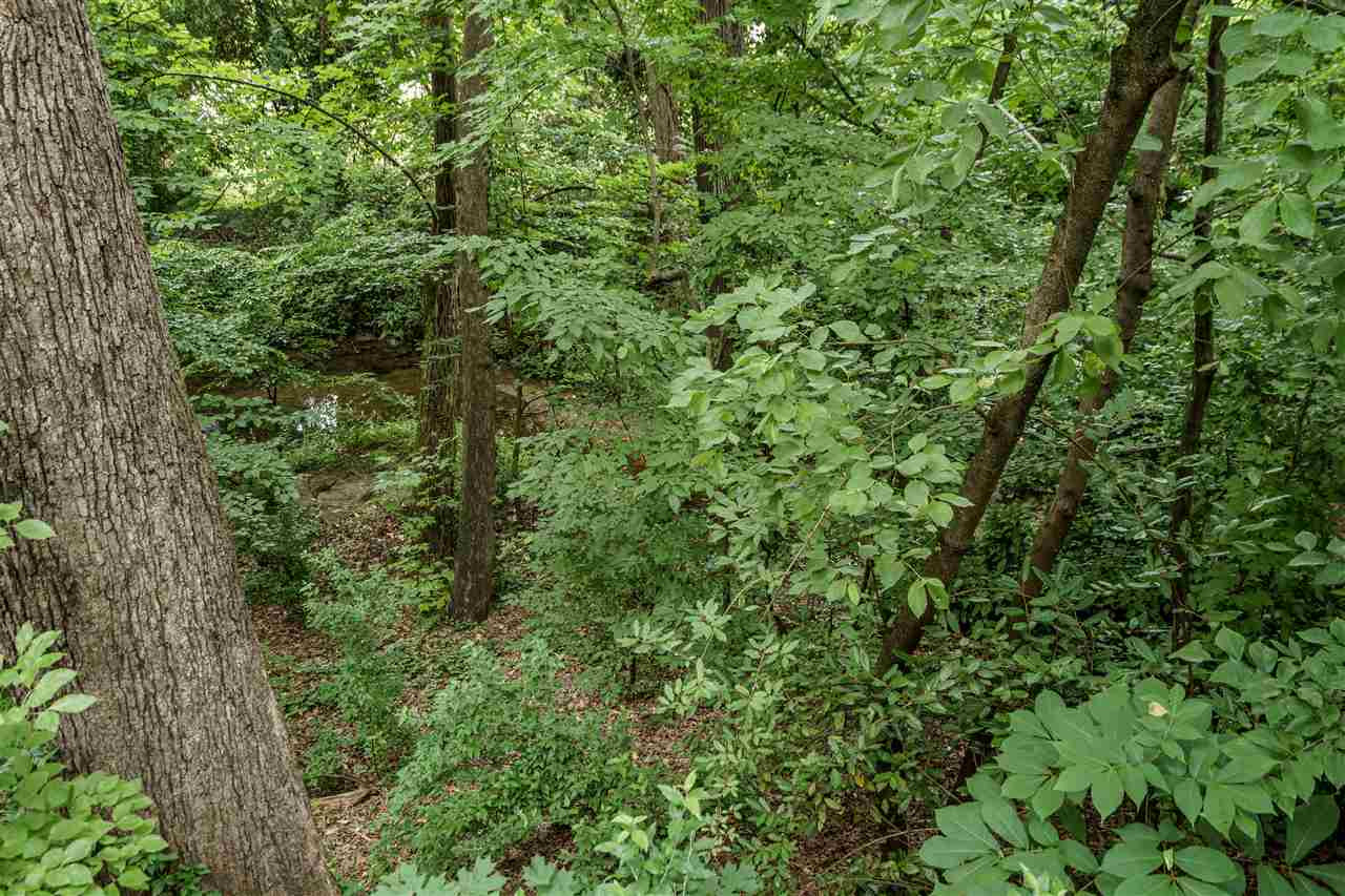 2524 Beechridge Road Raleigh, NC 27608 - Photo 26 of 26 view from deck